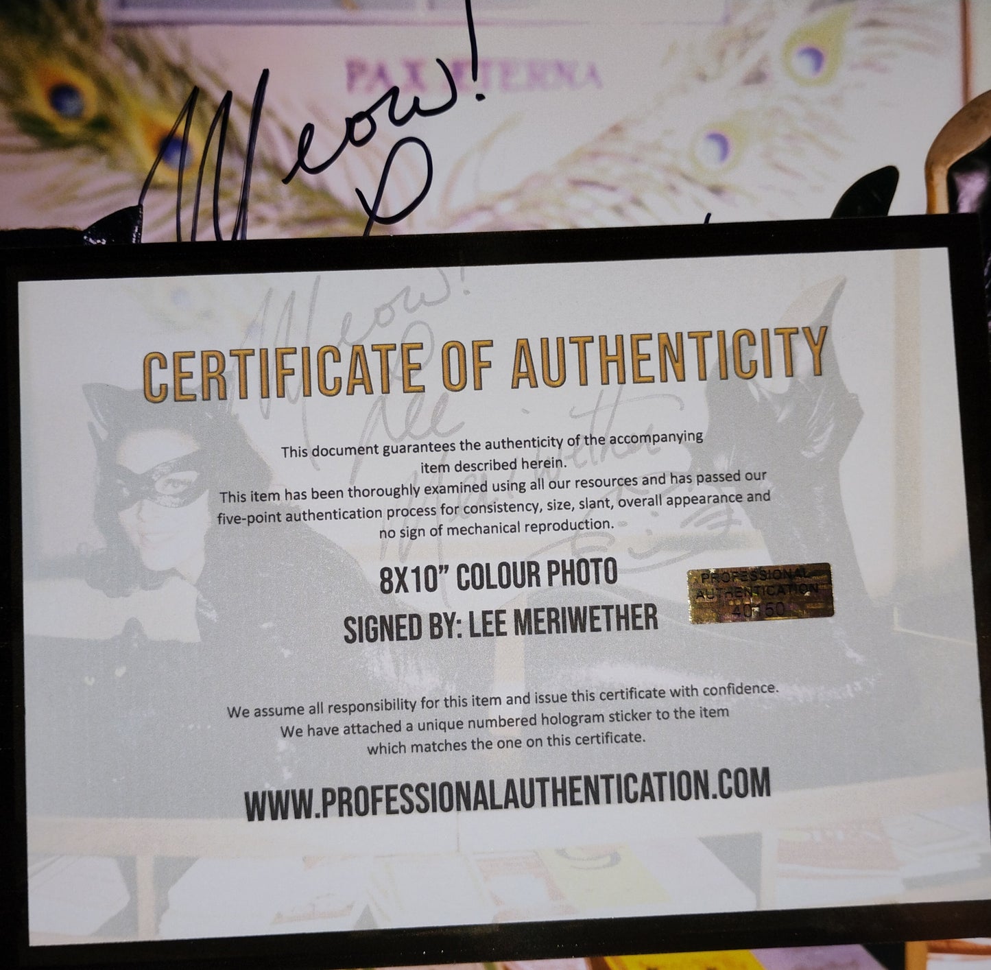 Lee Meriwether Hand Signed Autograph 8x10 Photo COA Catwoman