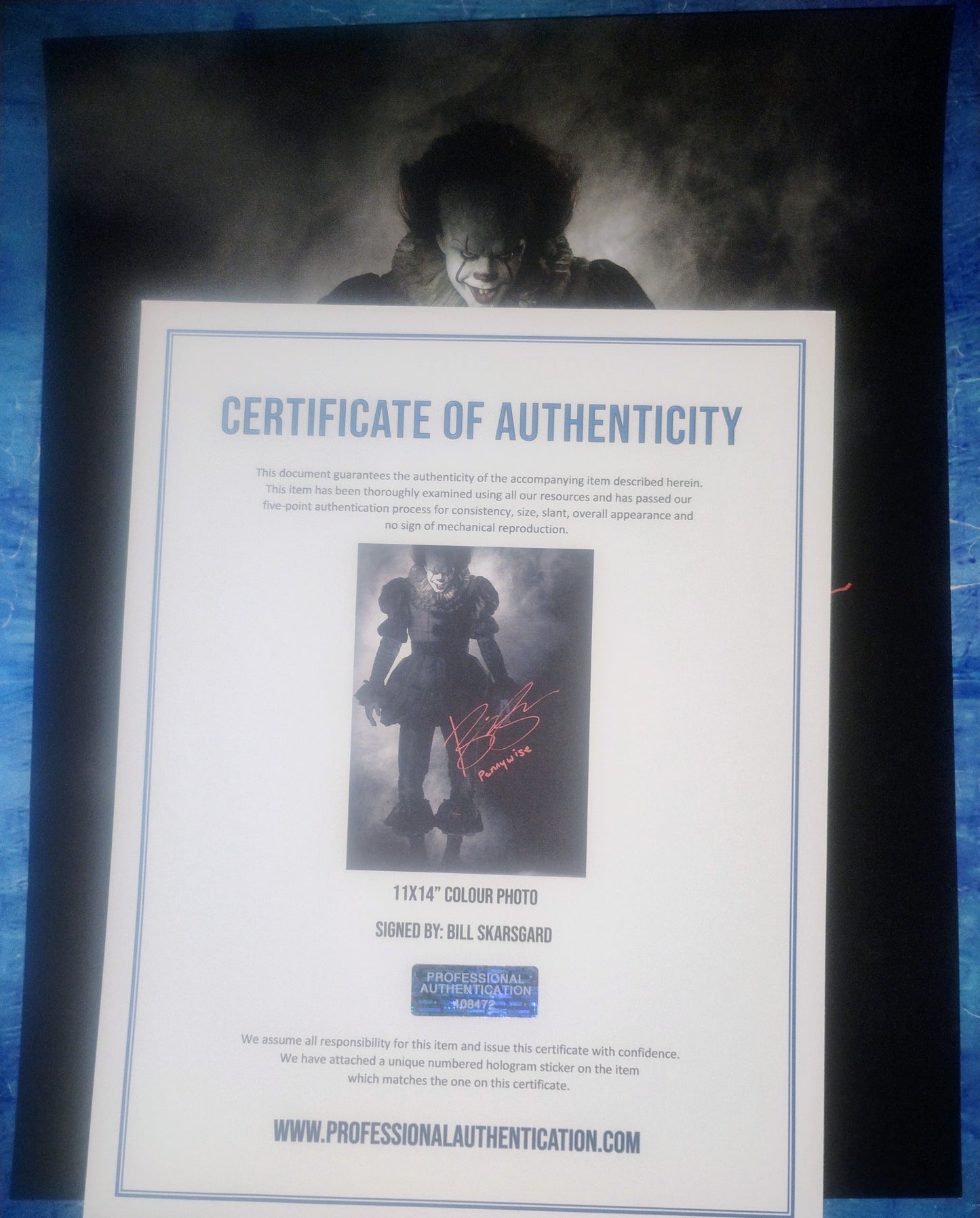 Bill Skarsgard Hand Signed Autograph 11x14 Photo COA Pennywise