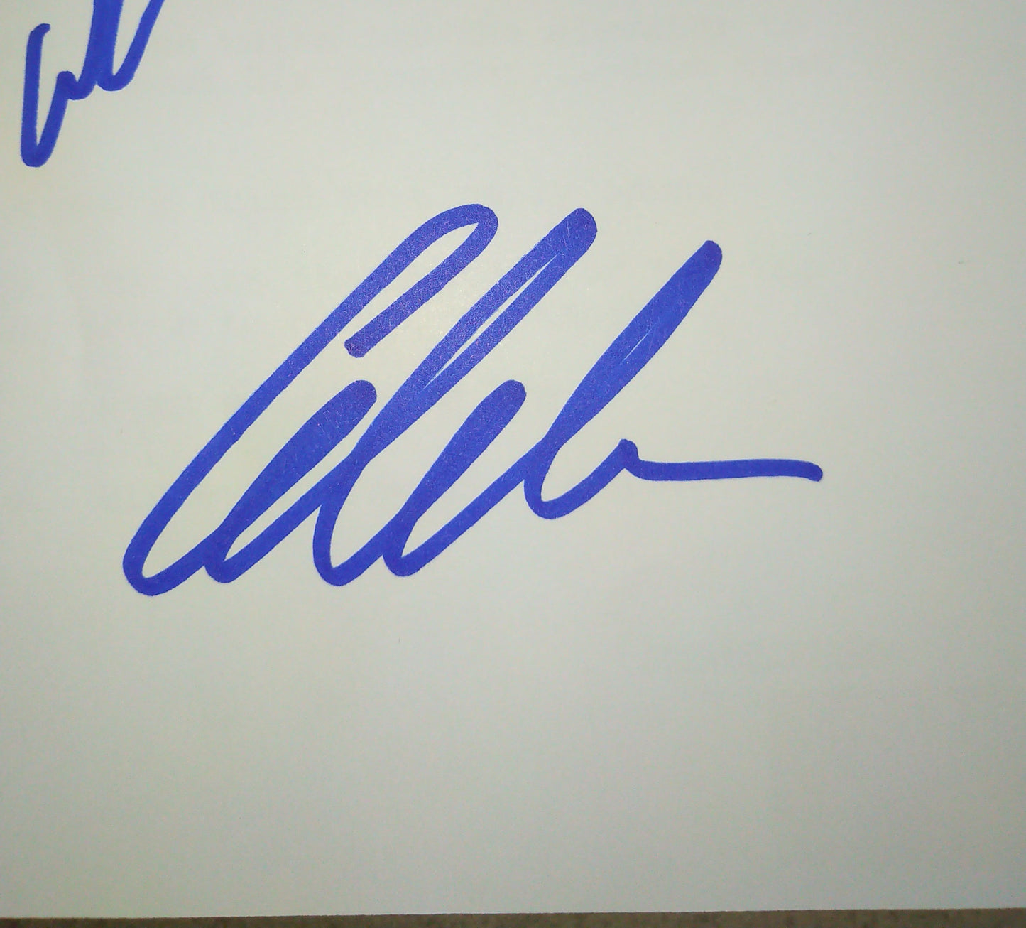Stranger Things Cast Hand Signed Autograph Script COA David Harbour