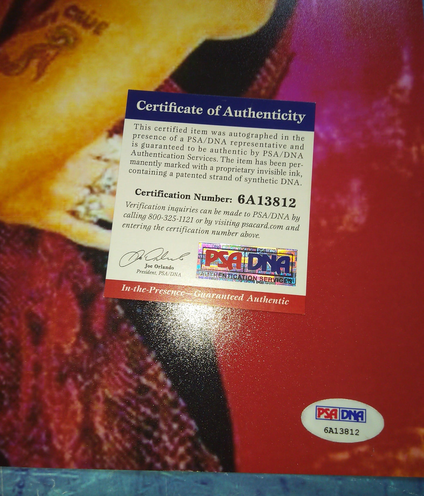 Vince Neil Hand Signed Autograph 11x14 Photo PSA COA Motley Crue