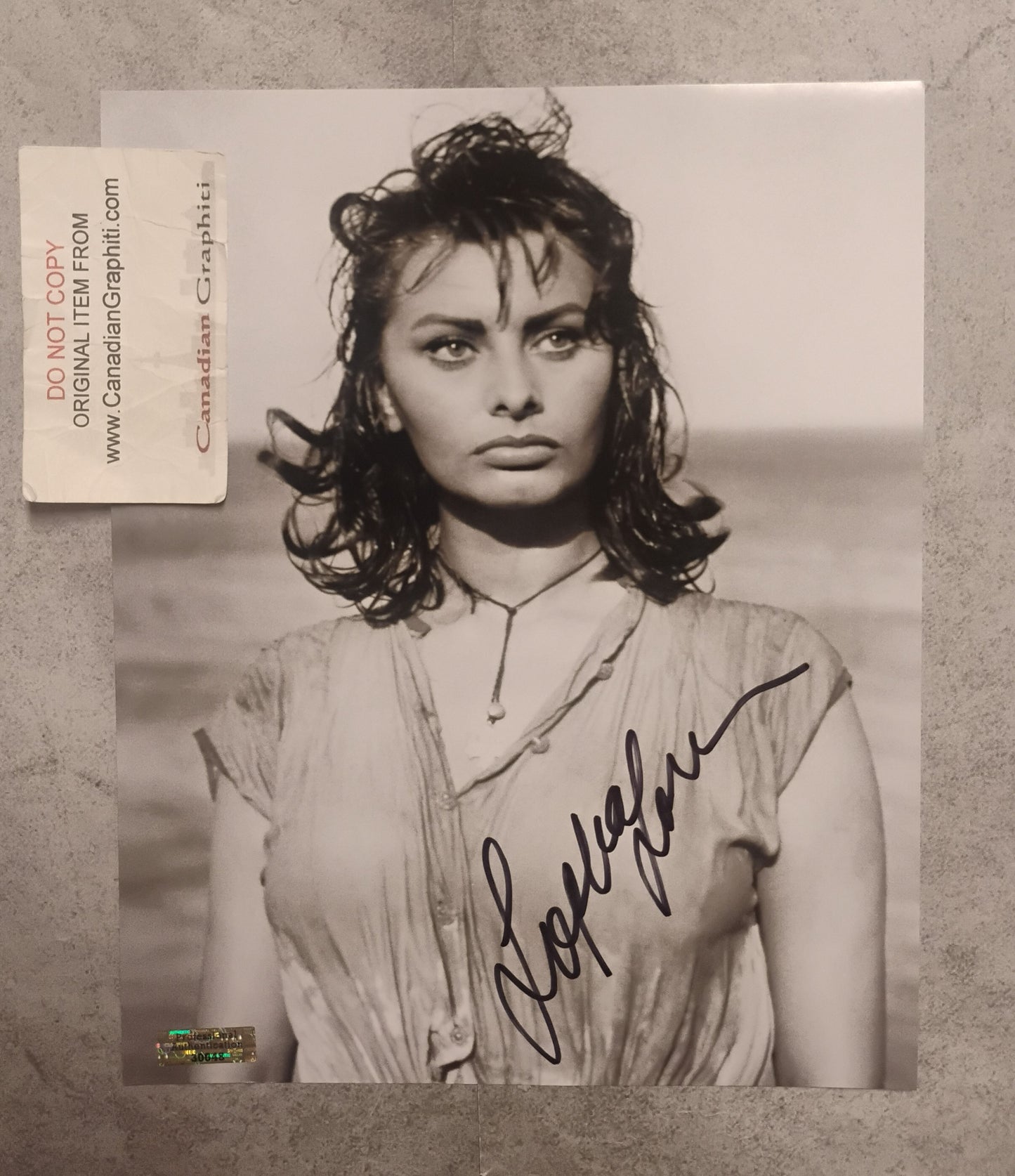Sophia Loren Hand Signed Autograph 8x10 Photo COA