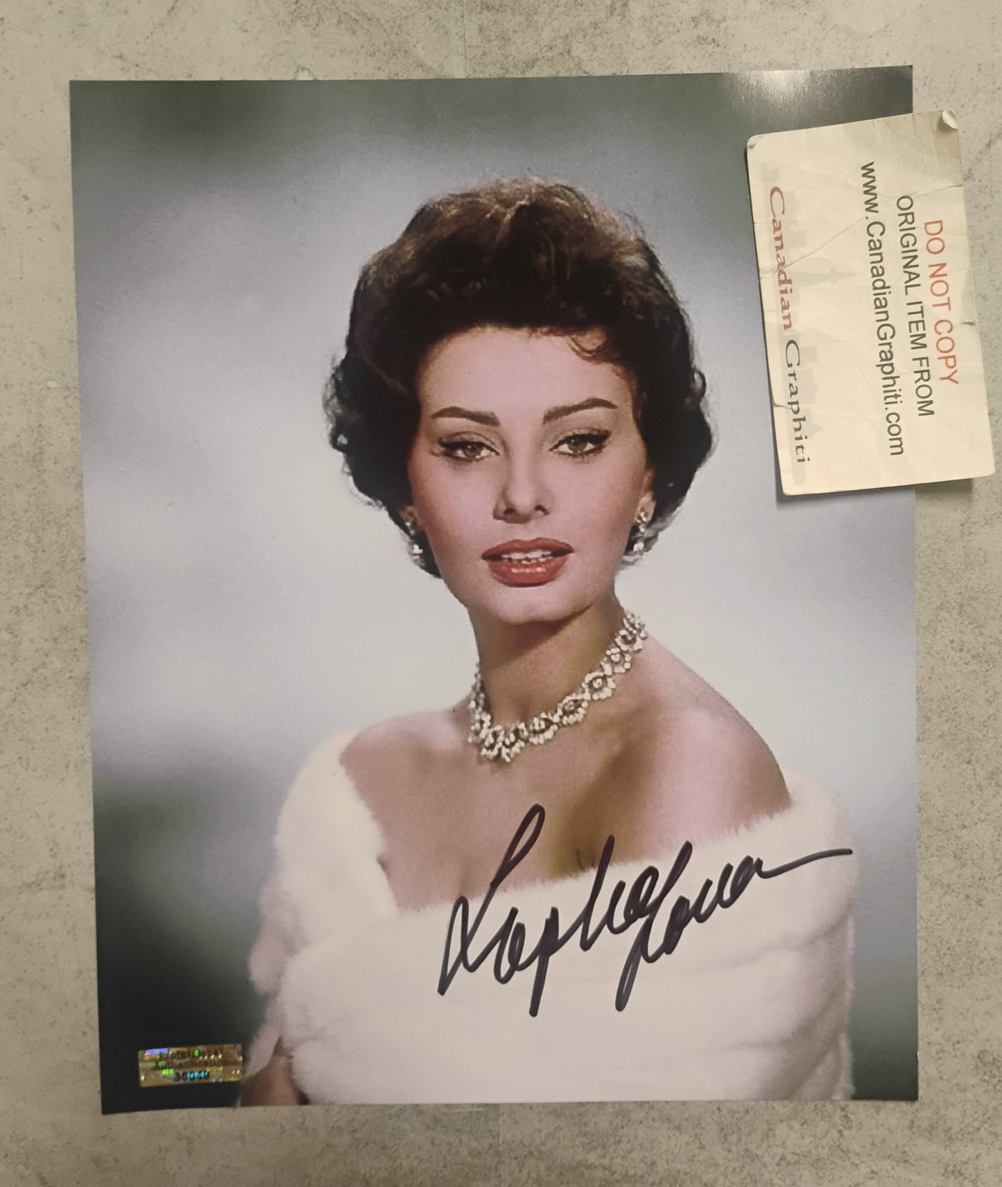 Sophia Loren Hand Signed Autograph 8x10 Photo COA