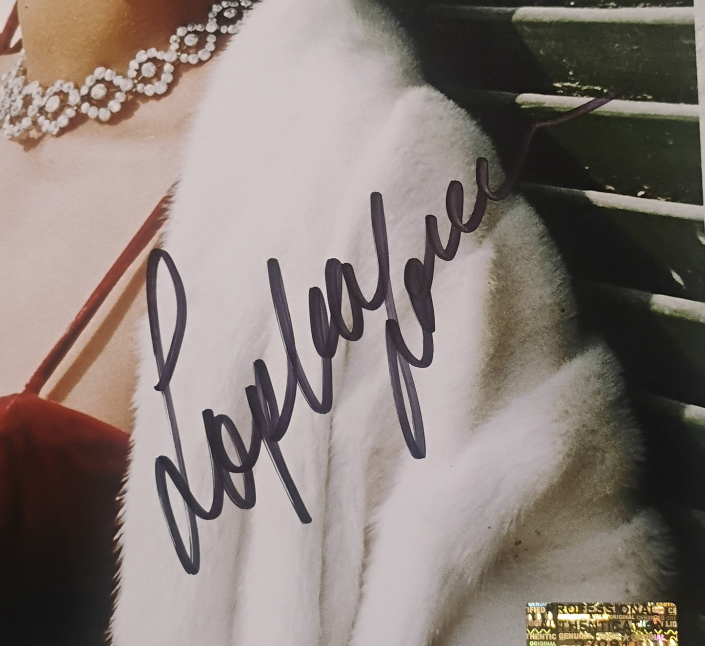 Sophia Loren Hand Signed Autograph 8x10 Photo COA