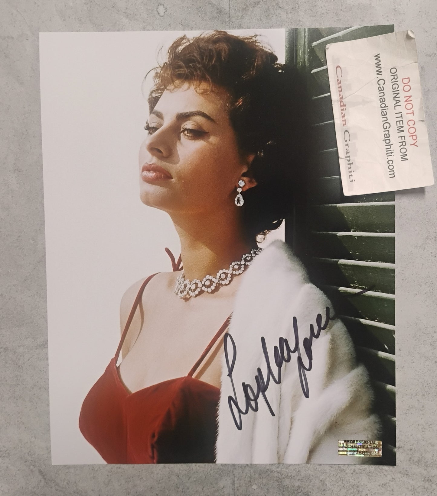 Sophia Loren Hand Signed Autograph 8x10 Photo COA