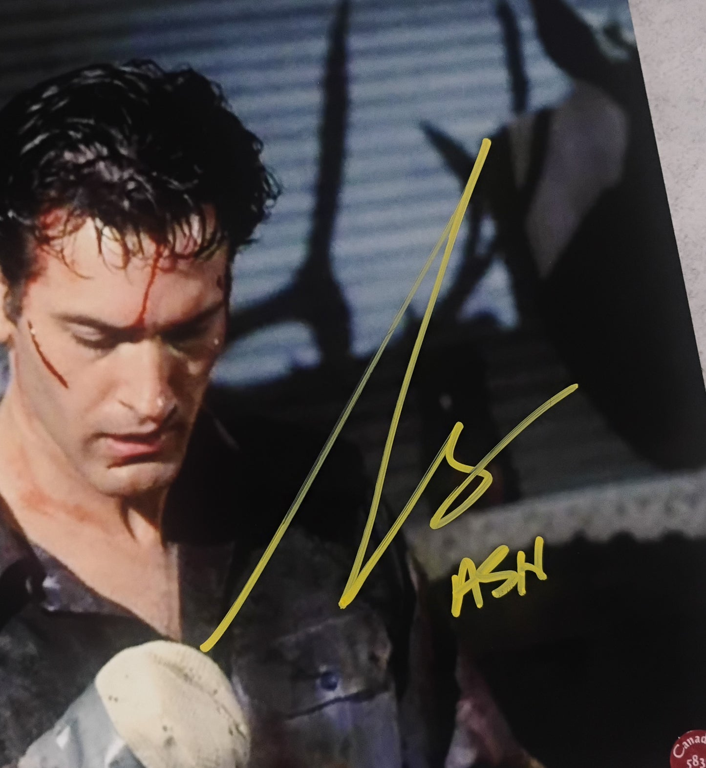 Bruce Campbell Hand Signed Autograph 8x10 Photo COA Evil Dead