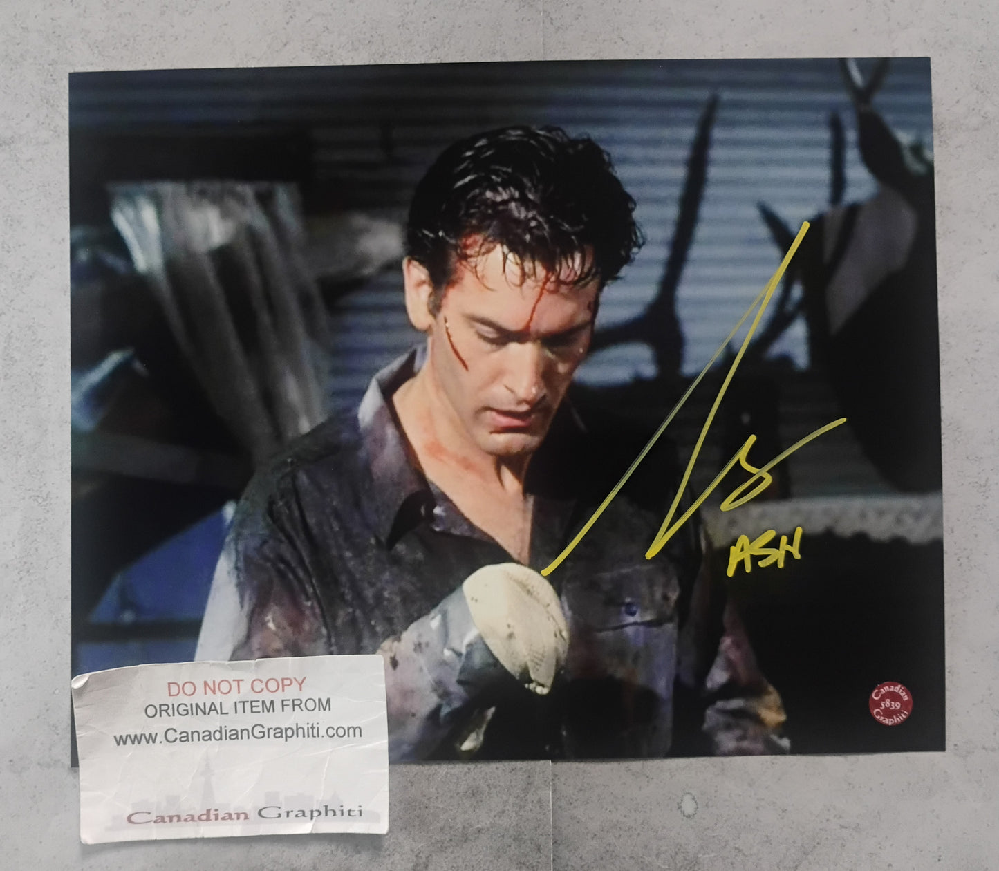 Bruce Campbell Hand Signed Autograph 8x10 Photo COA Evil Dead
