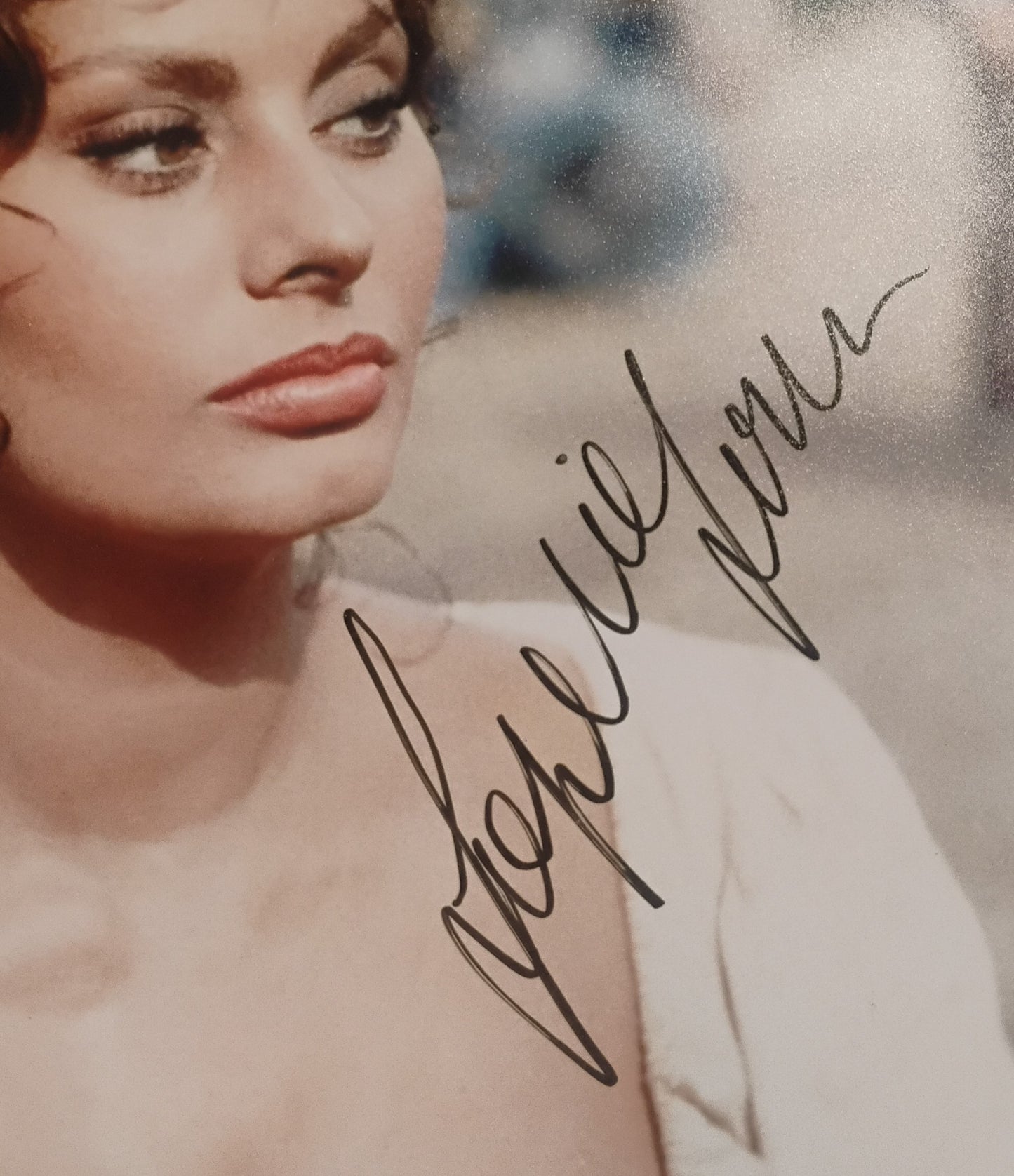Sophia Loren Hand Signed Autograph 8x10 Photo BAS COA