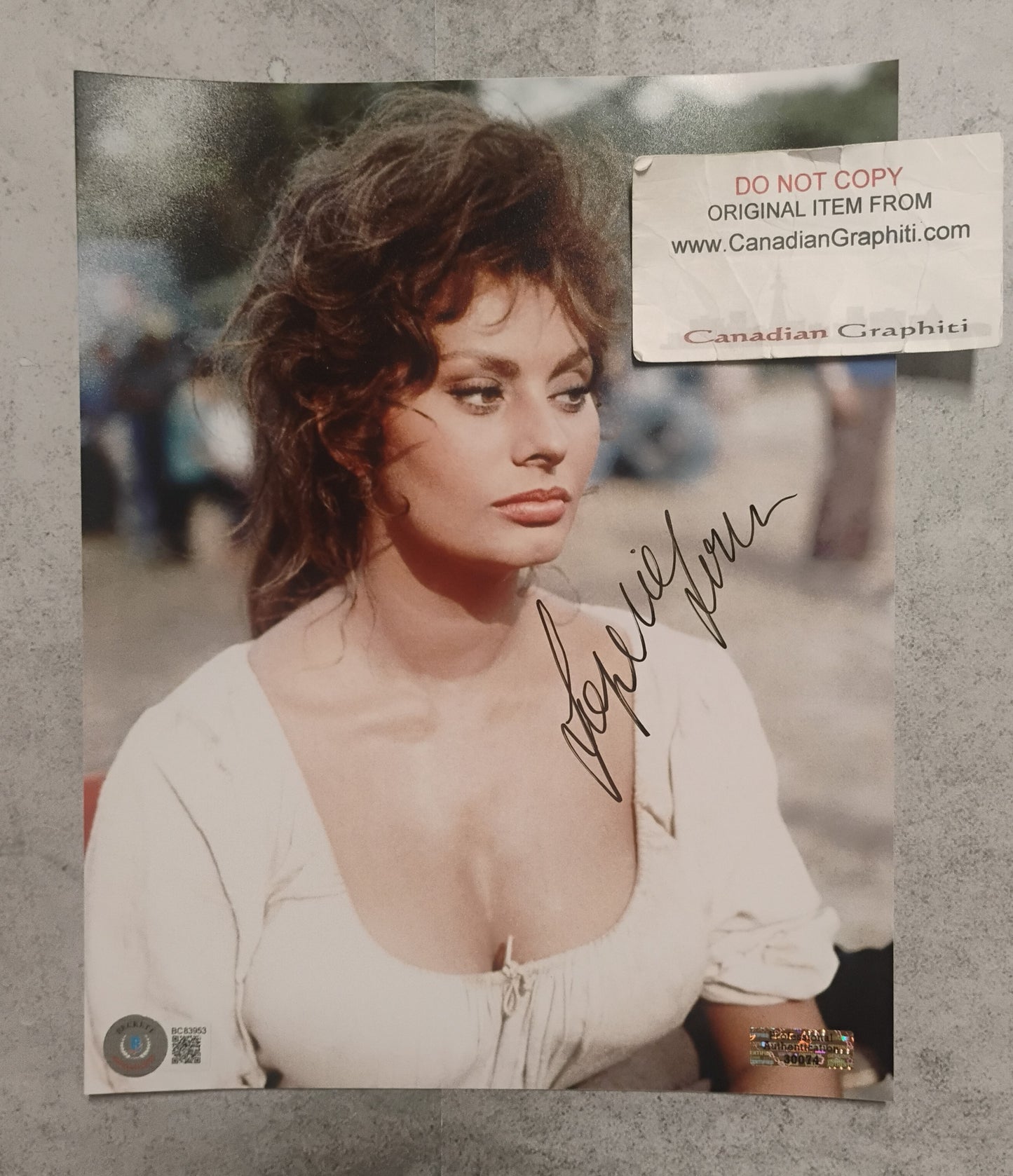 Sophia Loren Hand Signed Autograph 8x10 Photo BAS COA