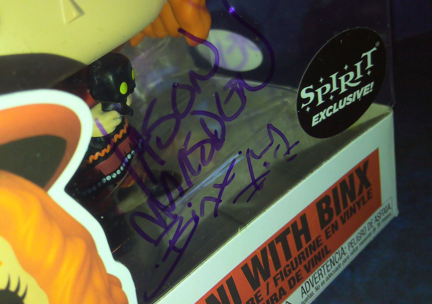 Jason Marsden & Thora Birch Hand Signed Autograph Funko Pop Hocus Pocus