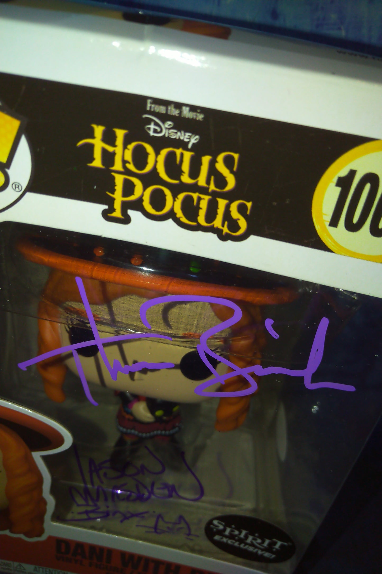 Jason Marsden & Thora Birch Hand Signed Autograph Funko Pop Hocus Pocus