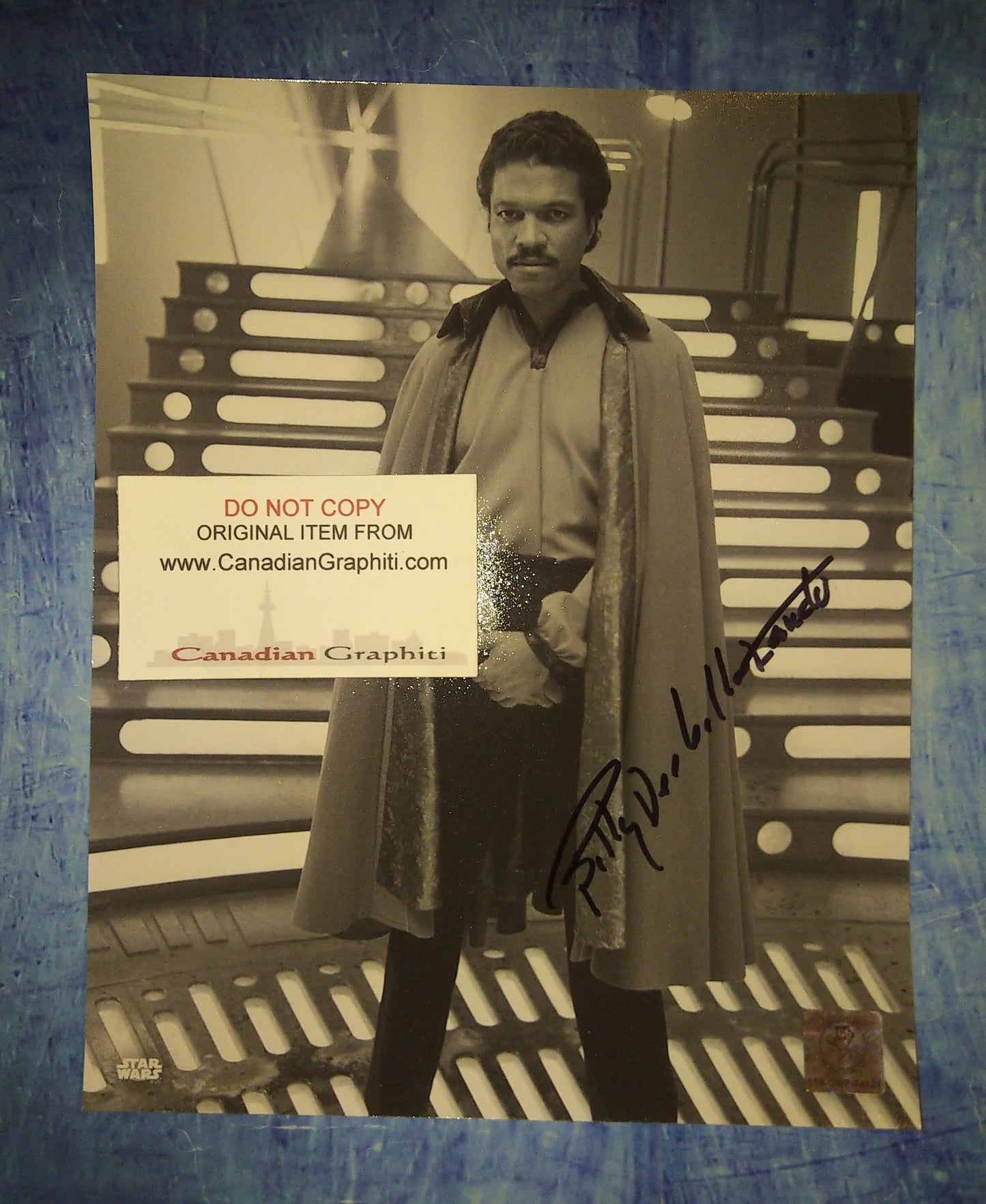 Billy Dee Williams Hand Signed Autograph 8x10 Photo