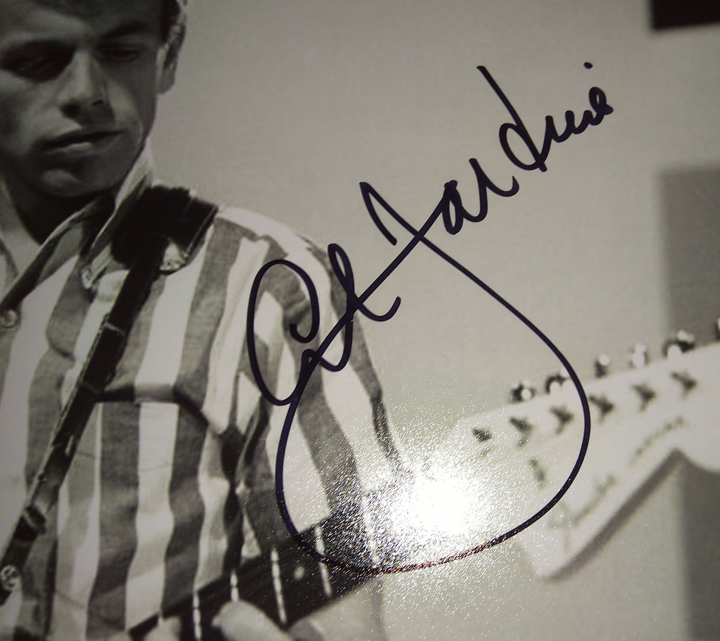 Al Jardine Hand Signed Autograph 8x10 Photo Beach Boys