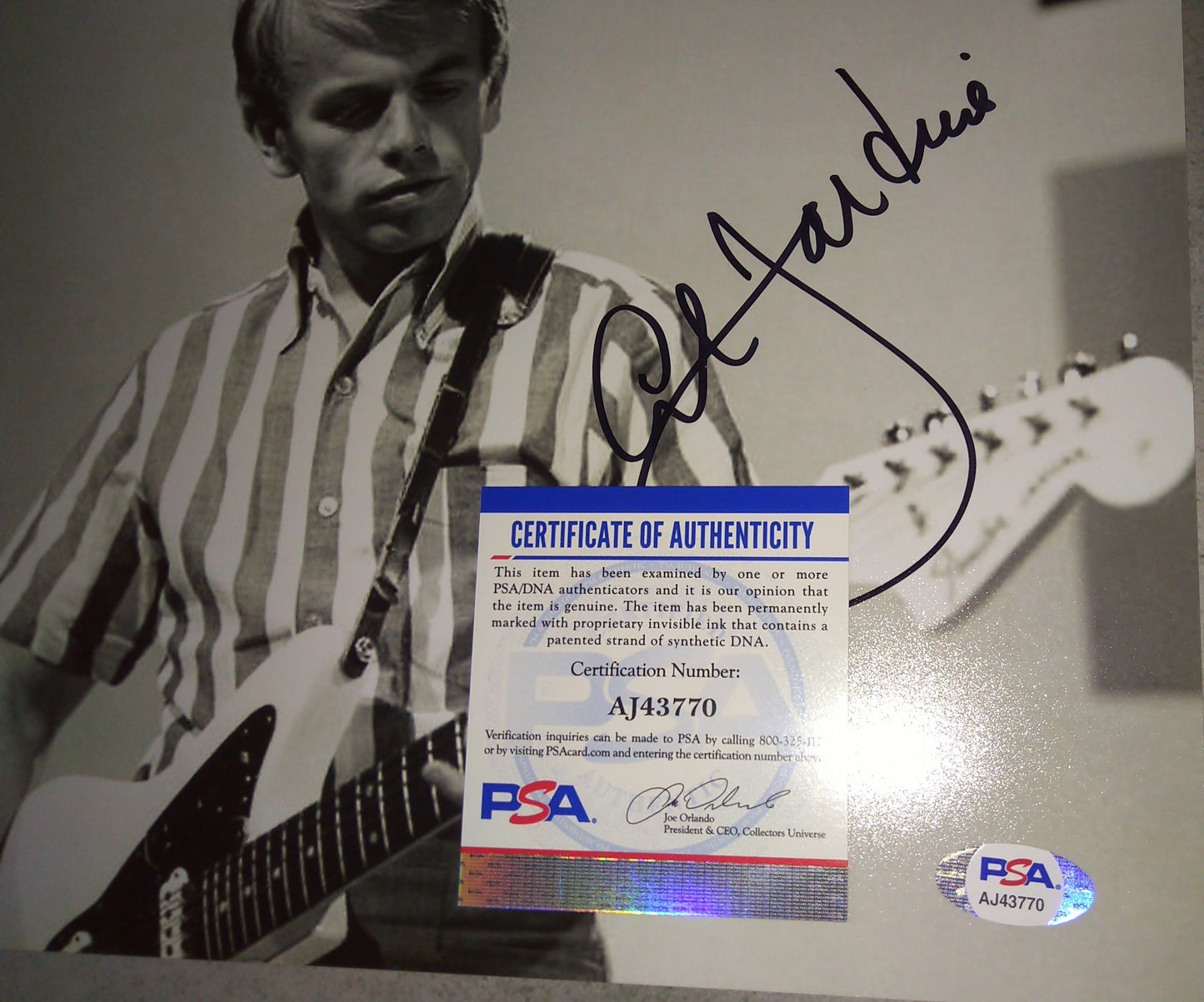 Al Jardine Hand Signed Autograph 8x10 Photo Beach Boys