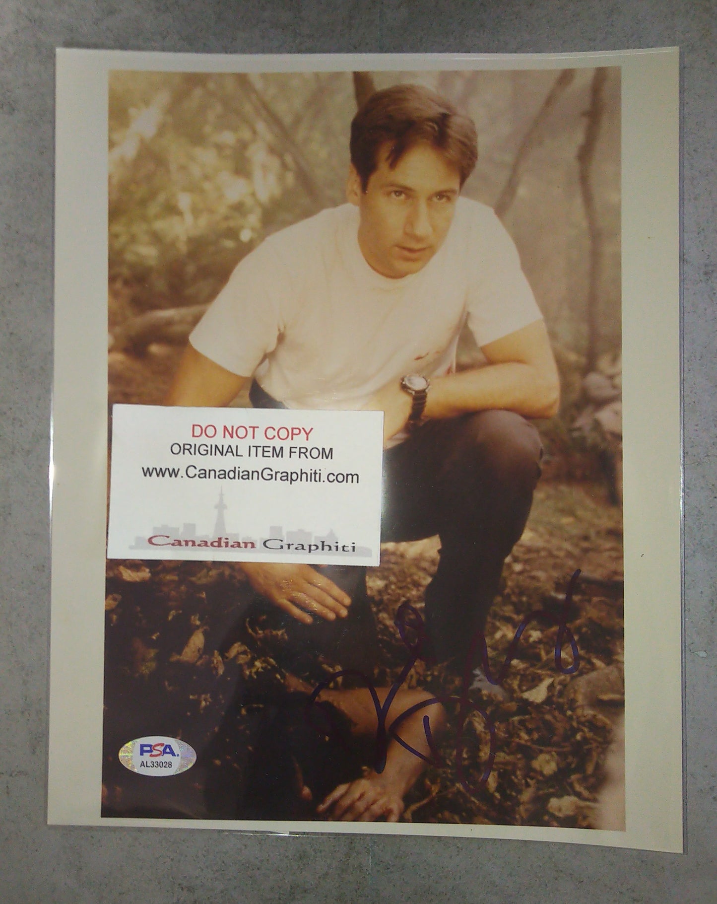 David Duchovny Hand Signed Autograph 8x10 Photo PSA COA