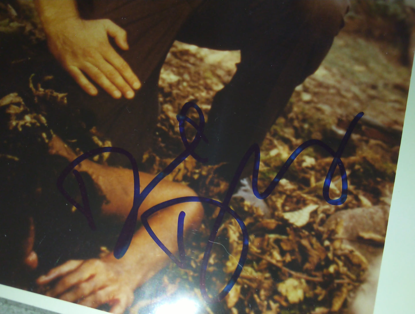 David Duchovny Hand Signed Autograph 8x10 Photo PSA COA