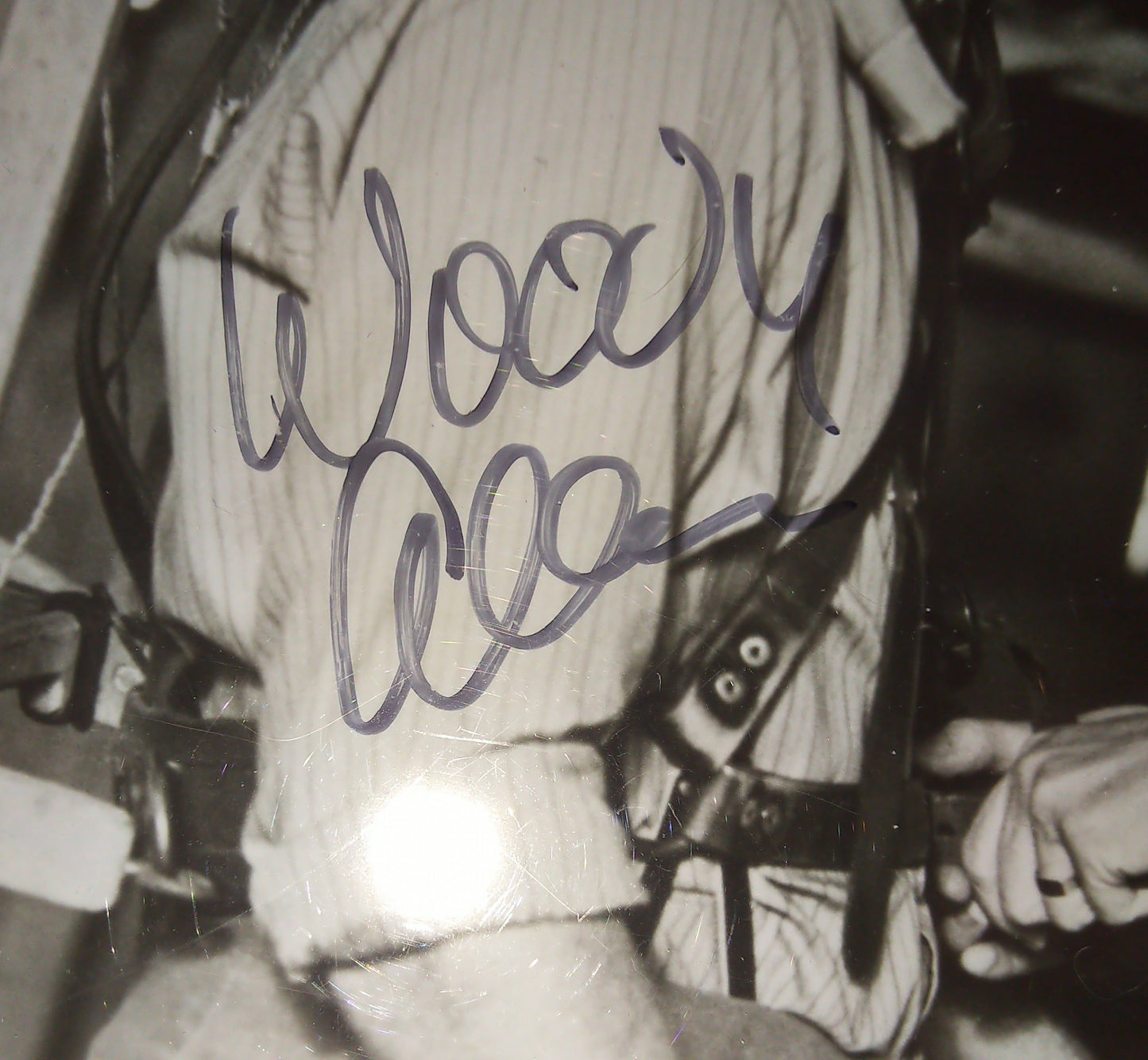 Woody Allen Hand Signed Autograph 8x10 Photo