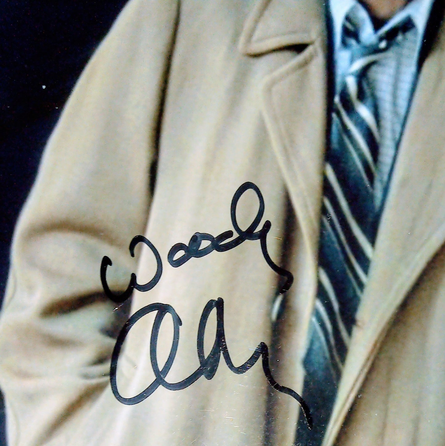 Woody Allen Hand Signed Autograph 8x10 Photo