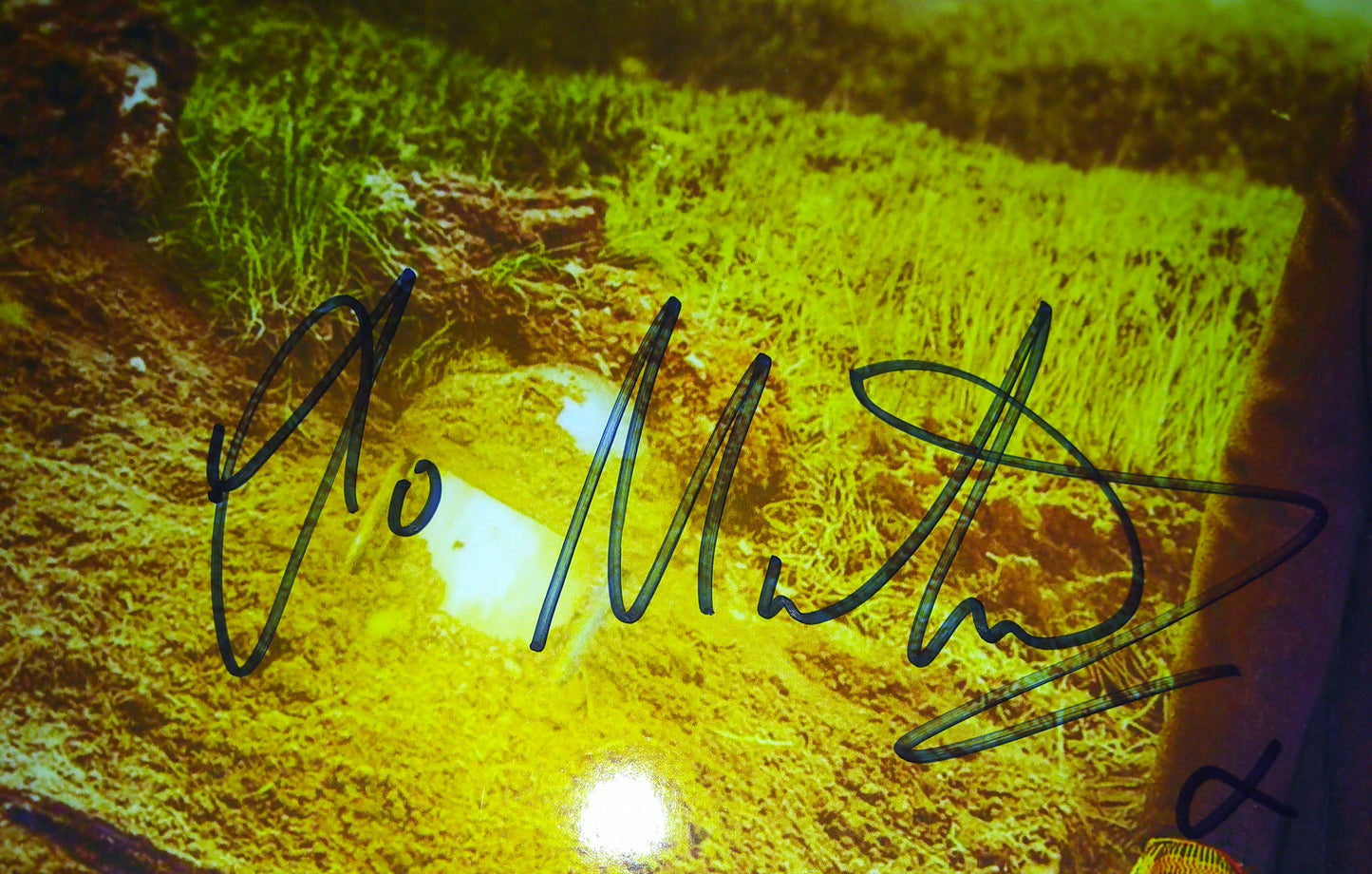 Jo Martin Hand Signed Autograph 8x10 Photo COA Doctor Who