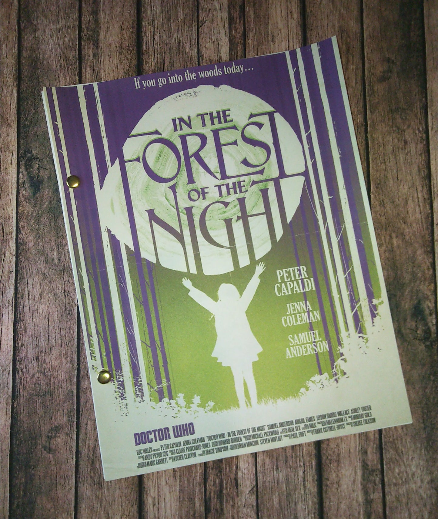 Doctor Who Season 8 In The Forest Of The Night Complete Script