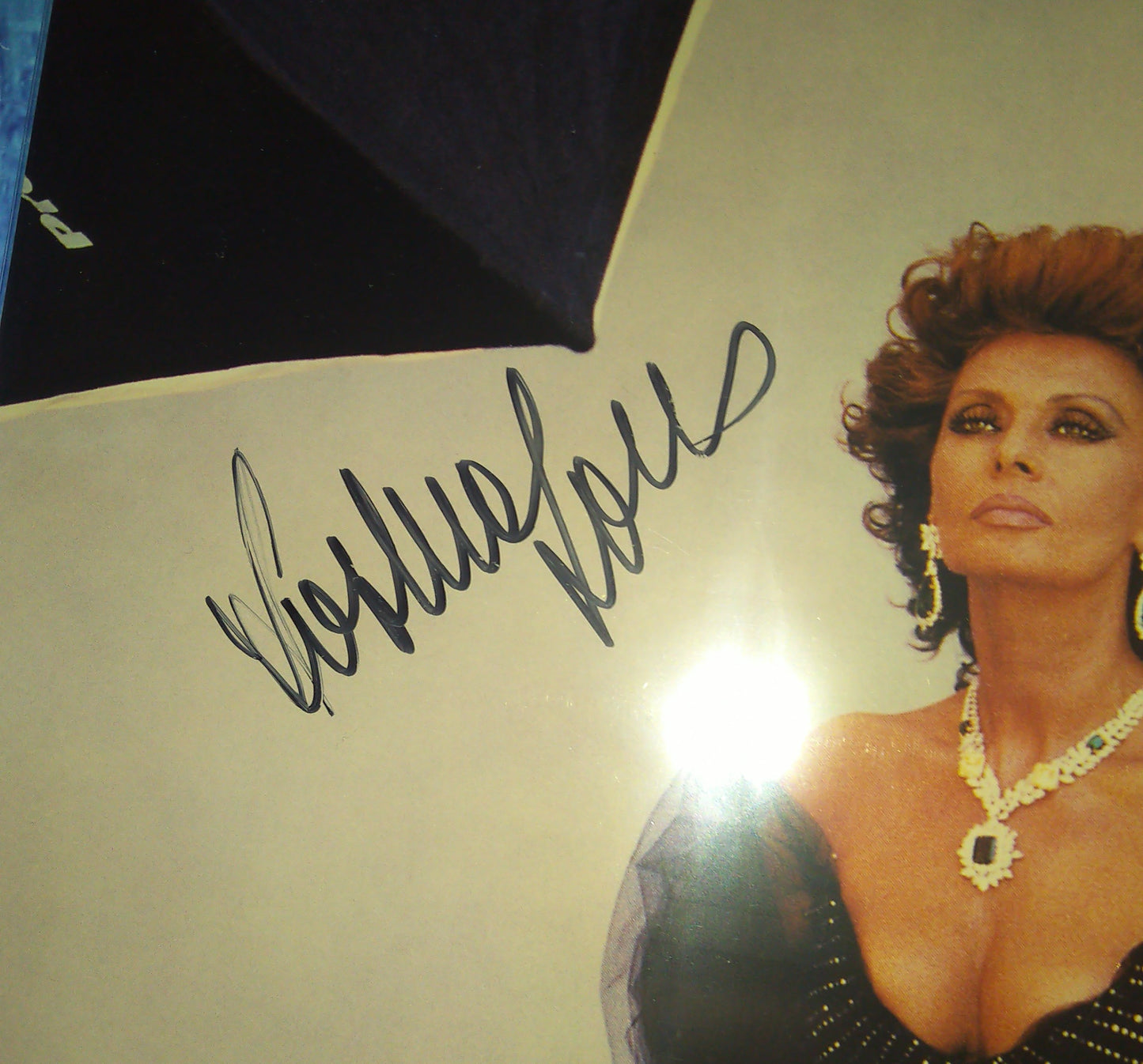 Sophia Loren Hand Signed Autograph 8x10 Photo JSA COA