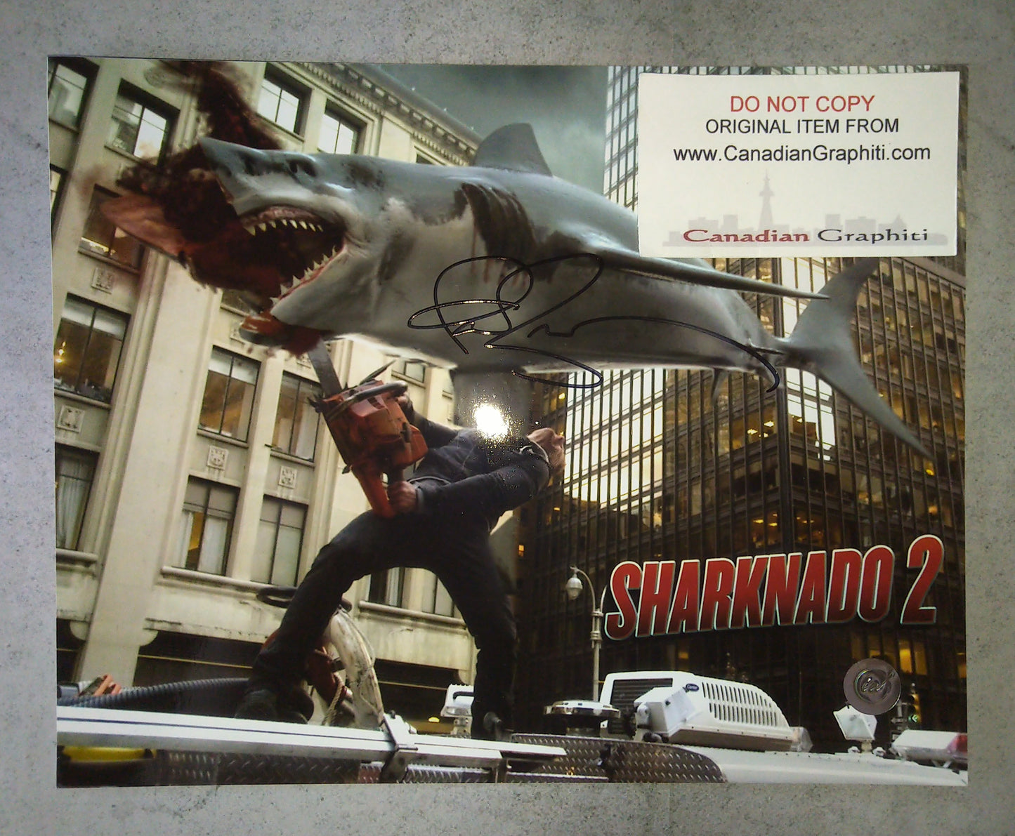 Ian Ziering Hand Signed Autograph 8x10 Photo COA Sharknado