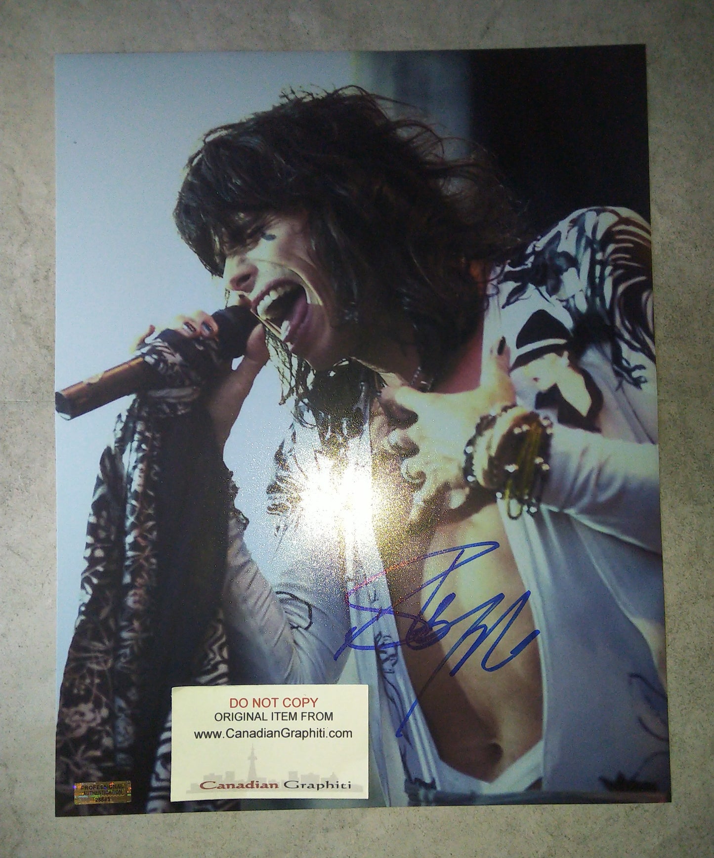 Steven Tyler Hand Signed Autograph 11x14 Photo COA Aerosmith