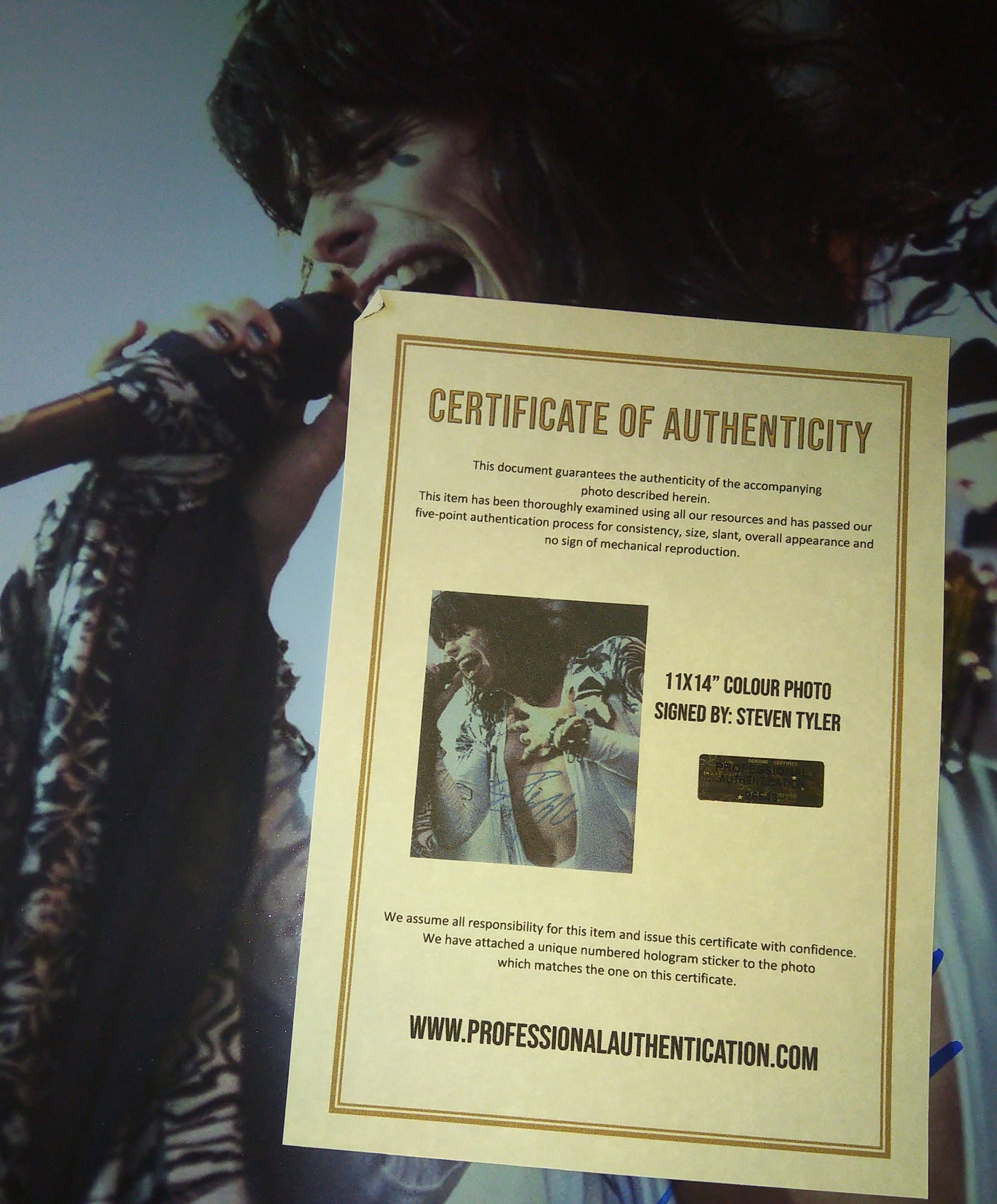 Steven Tyler Hand Signed Autograph 11x14 Photo COA Aerosmith