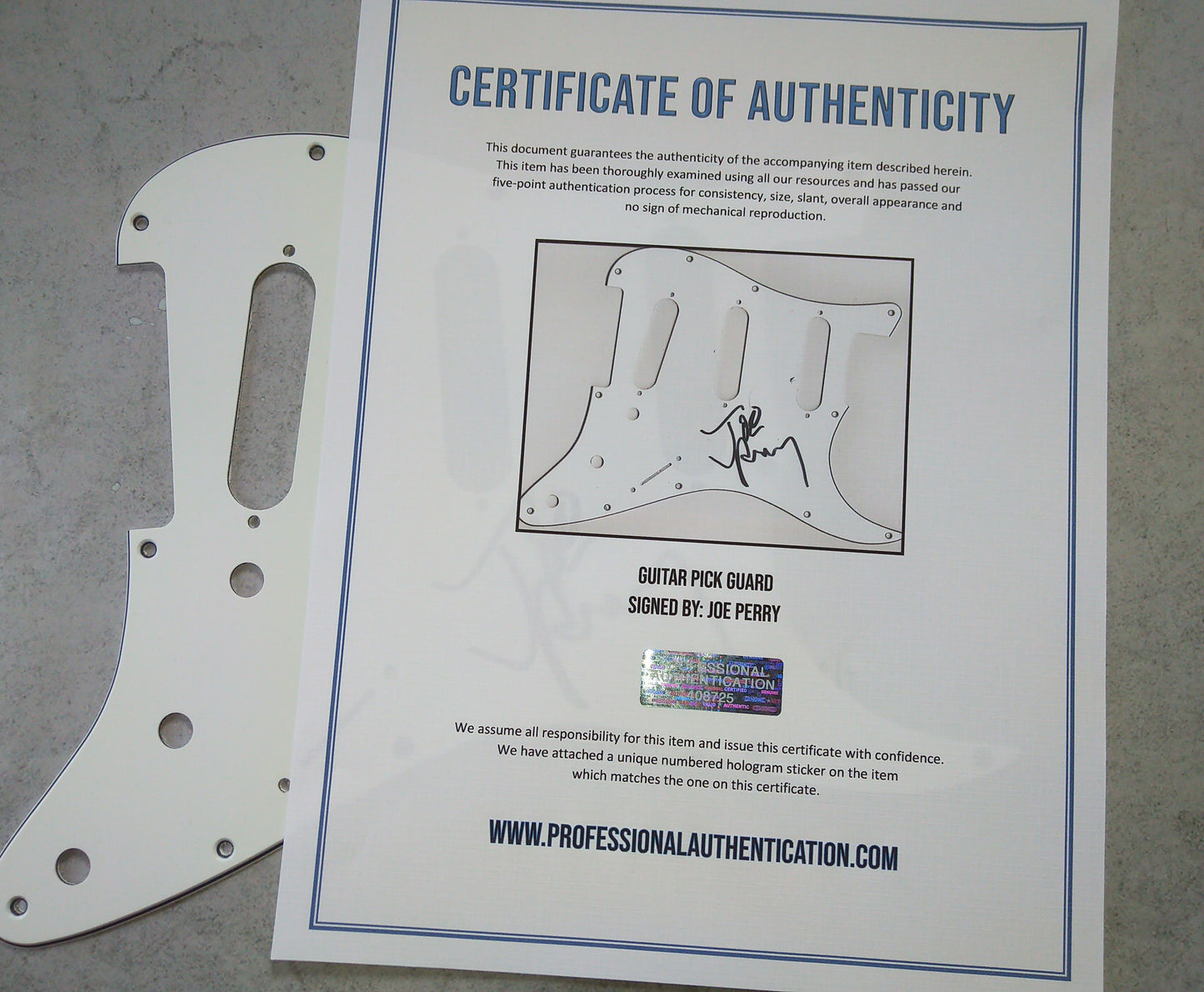 Joe Perry Hand Signed Autograph Guitar Pick Guard COA Aerosmith