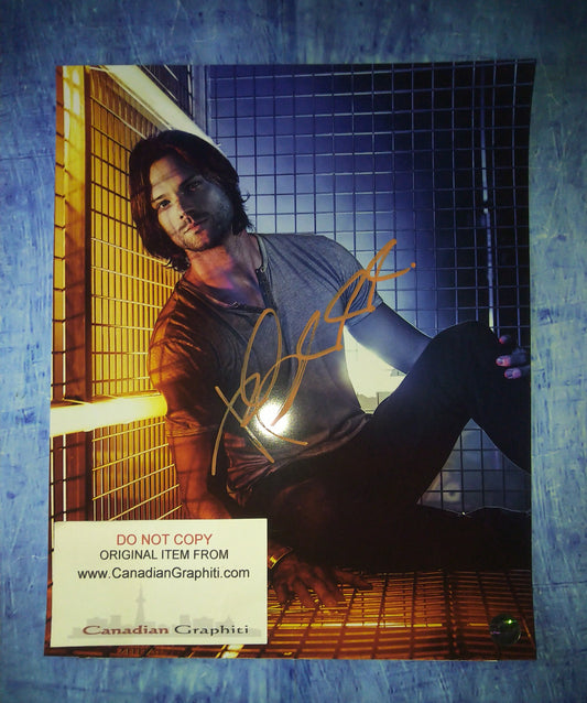 Jared Padalecki Hand Signed Autograph 8x10 Photo COA