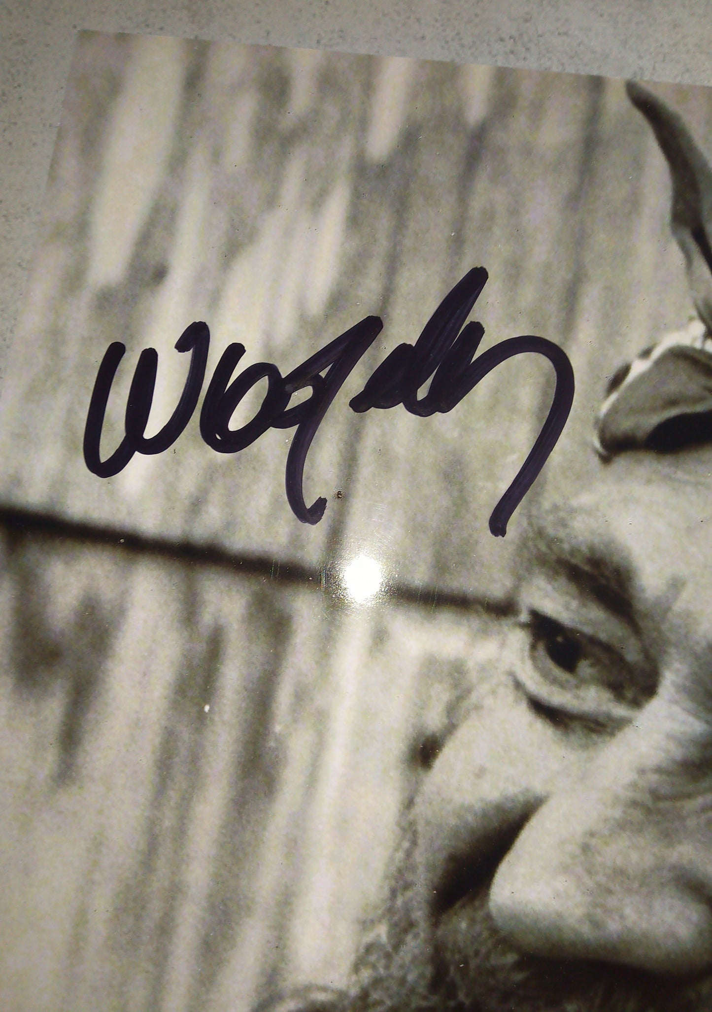 Willie Nelson Hand Signed Autograph 11x14 Photo COA