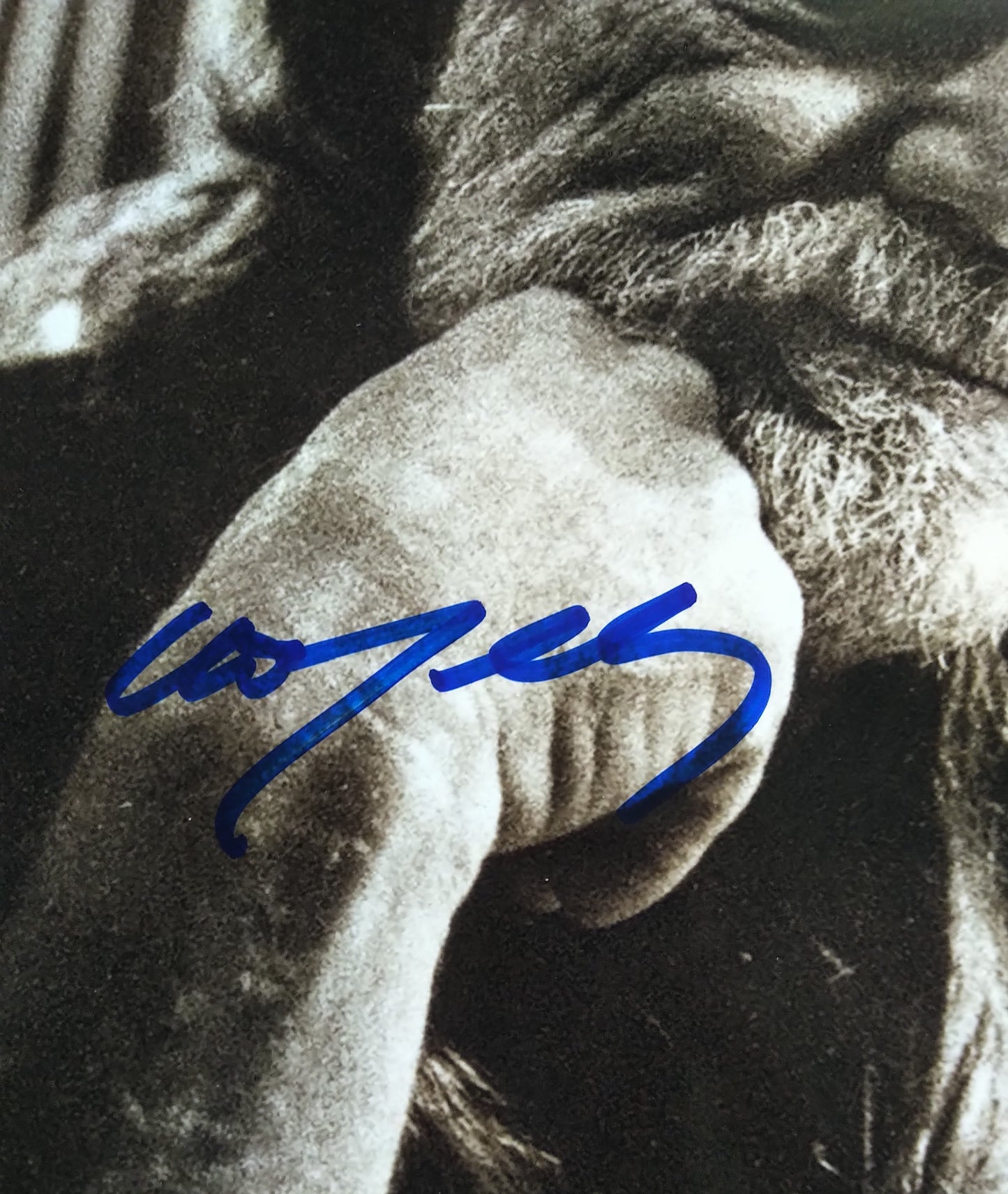 Willie Nelson Hand Signed Autograph 8x10 Photo COA