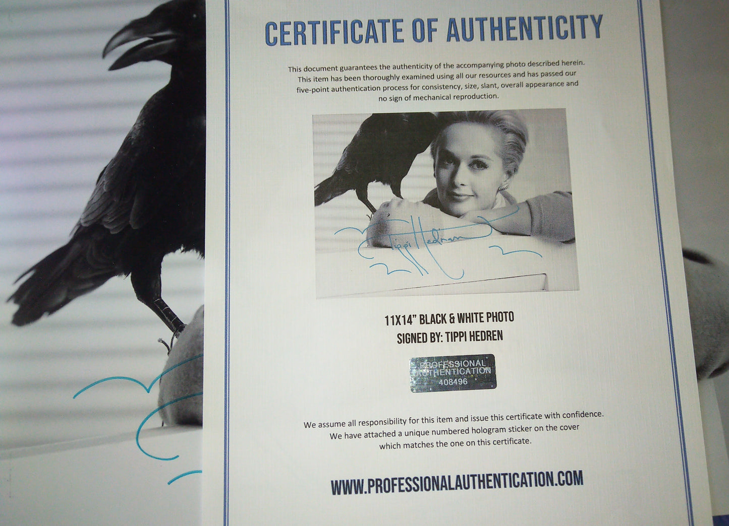 Tippi Hedren Hand Signed Autograph & 11x14 Photo COA The Birds