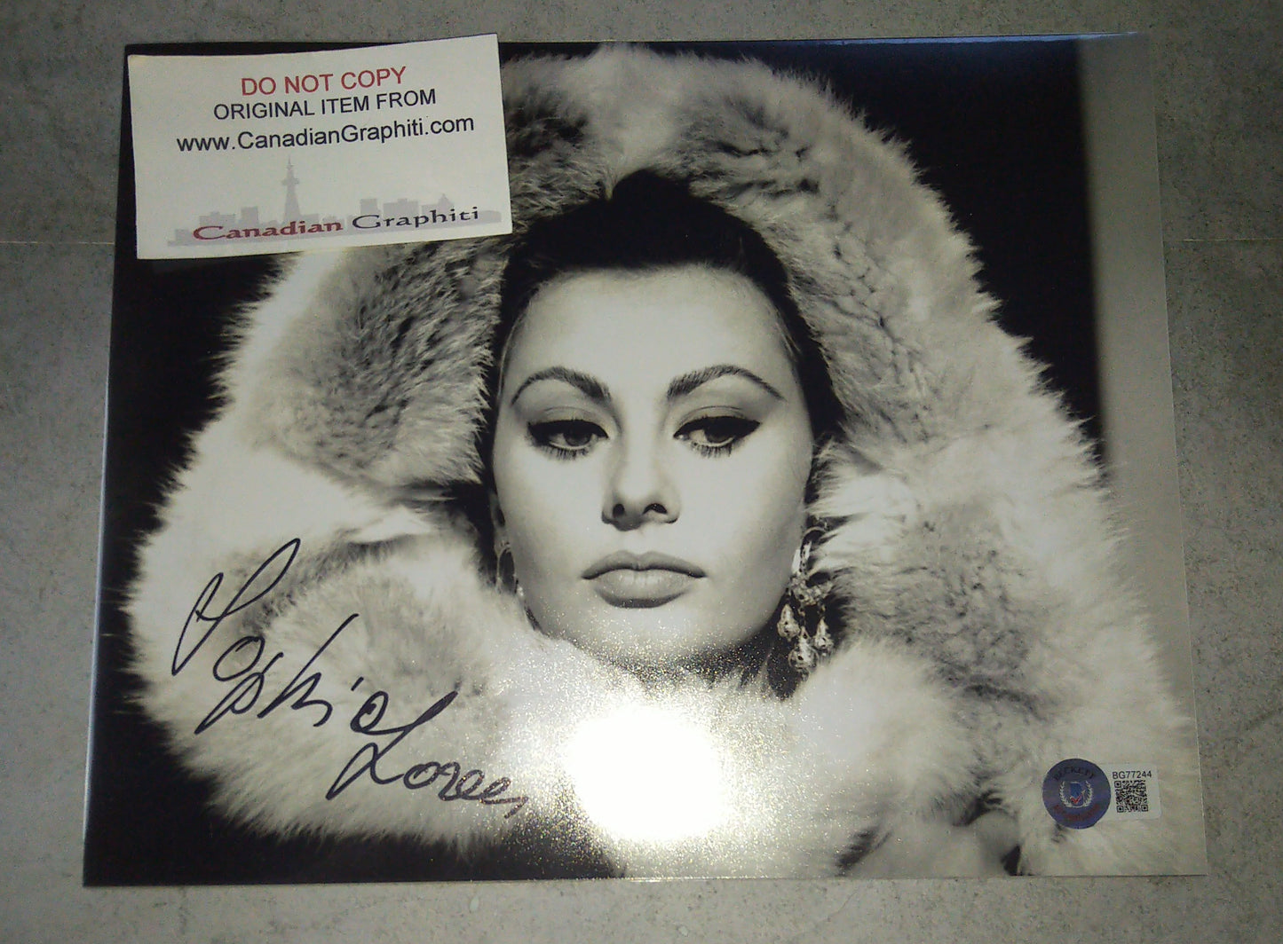 Sophia Loren Hand Signed Autograph 8x10 Photo BAS COA