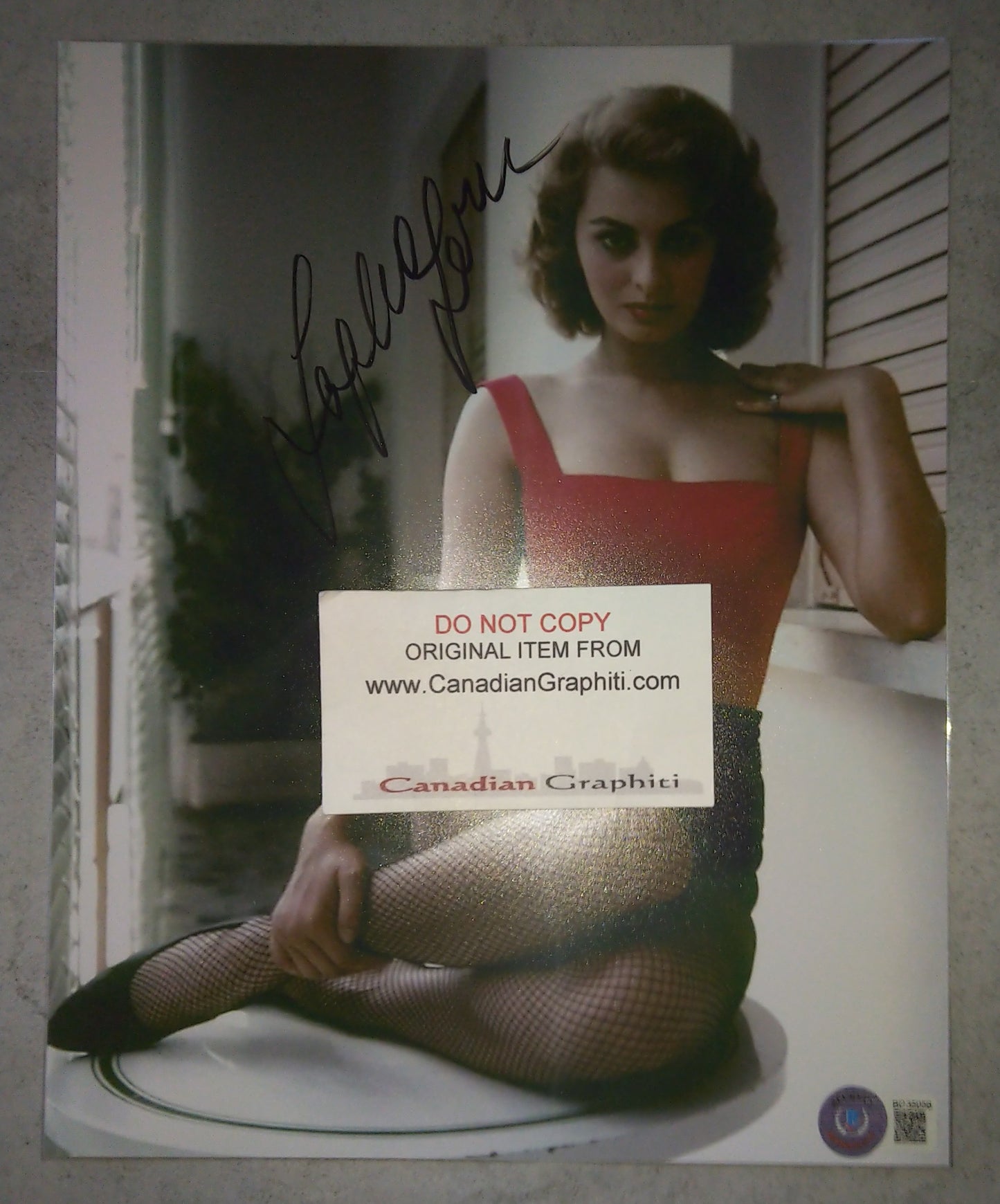 Sophia Loren Hand Signed Autograph 8x10 Photo BAS COA