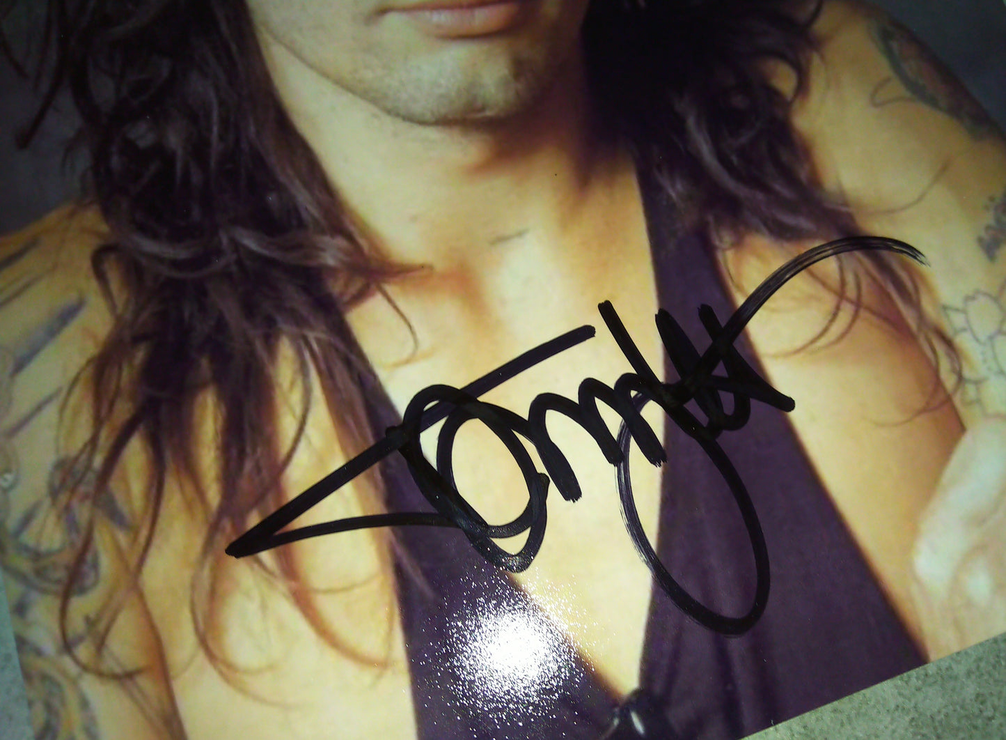 Tommy Lee Hand Signed Autograph 8x10 Photo COA