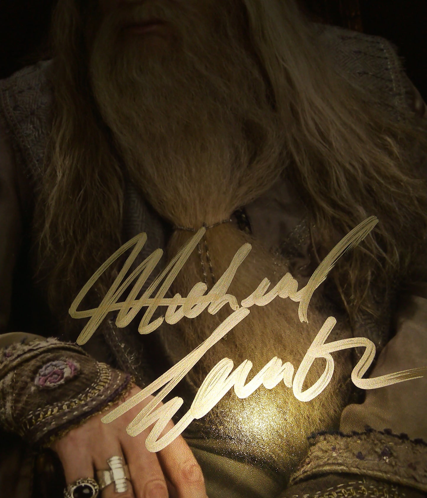 Michael Gambon Hand Signed Autograph 8x10 Photo COA Harry Potter