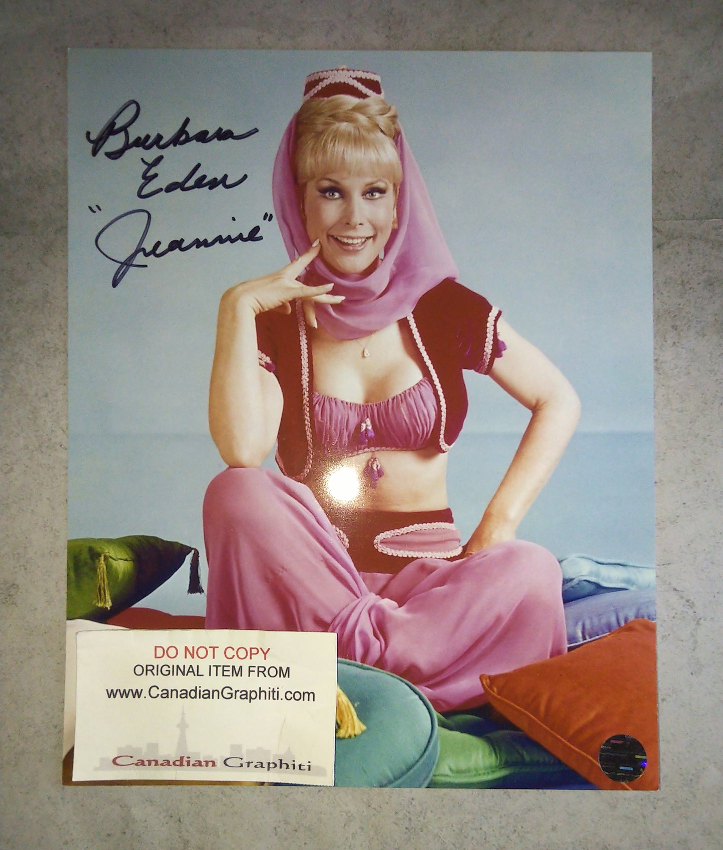 Barbara Eden Hand Signed Autograph 8x10 Photo COA I Dream Of Jeannie