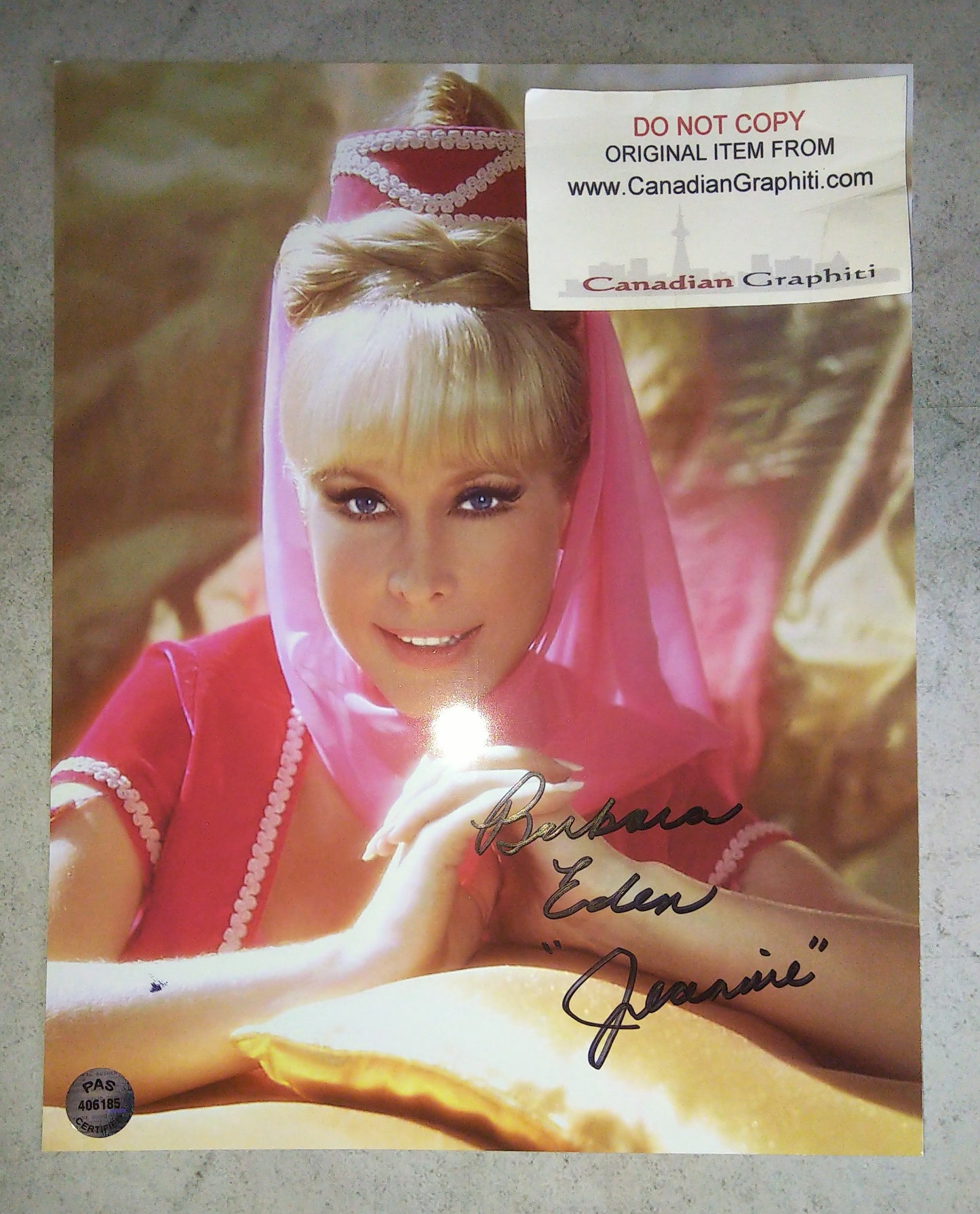 Barbara Eden Hand Signed Autograph 8x10 Photo COA I Dream Of Jeannie