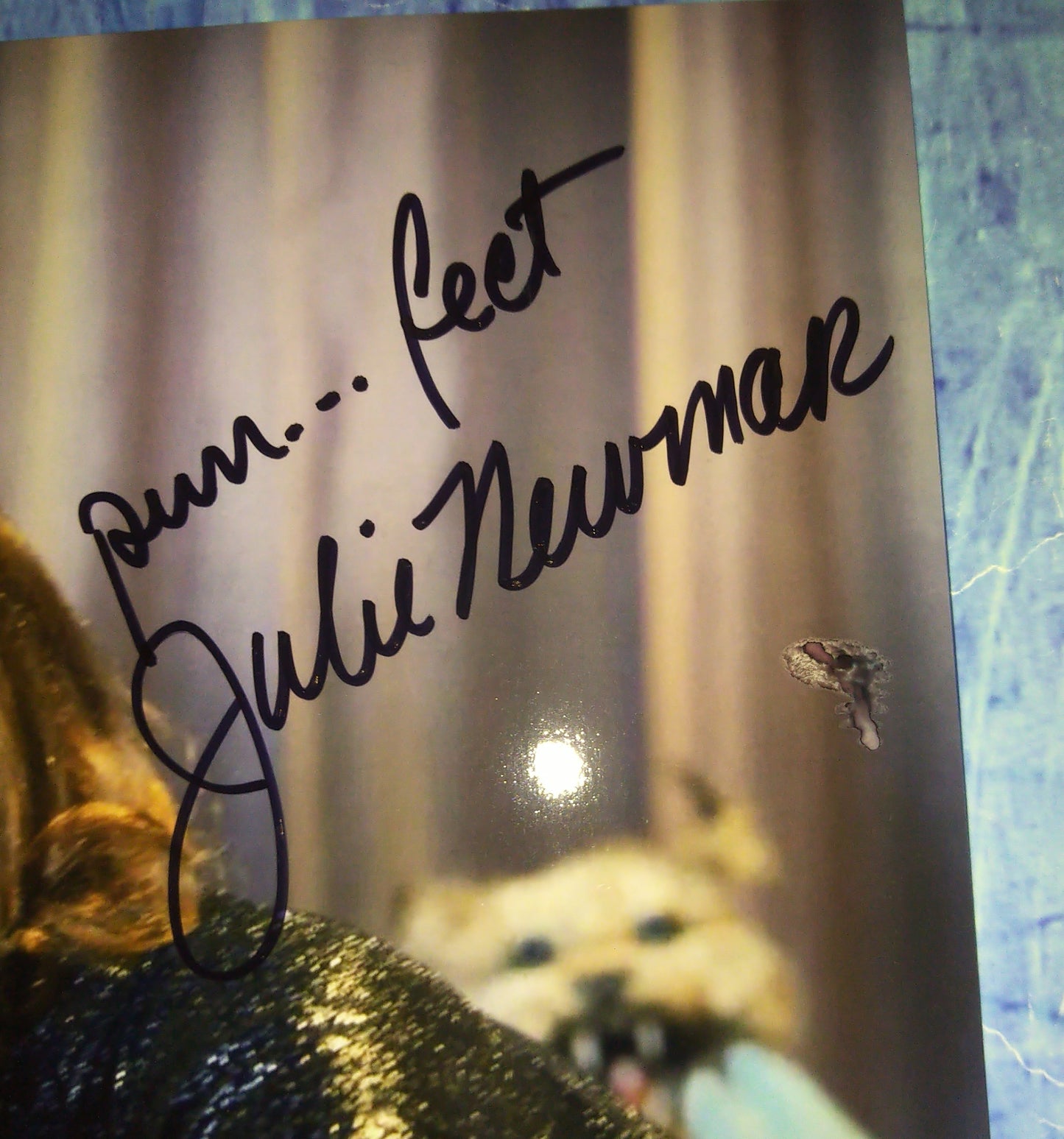 Julie Newmar Hand Signed Autograph 8x10 Photo COA Catwoman