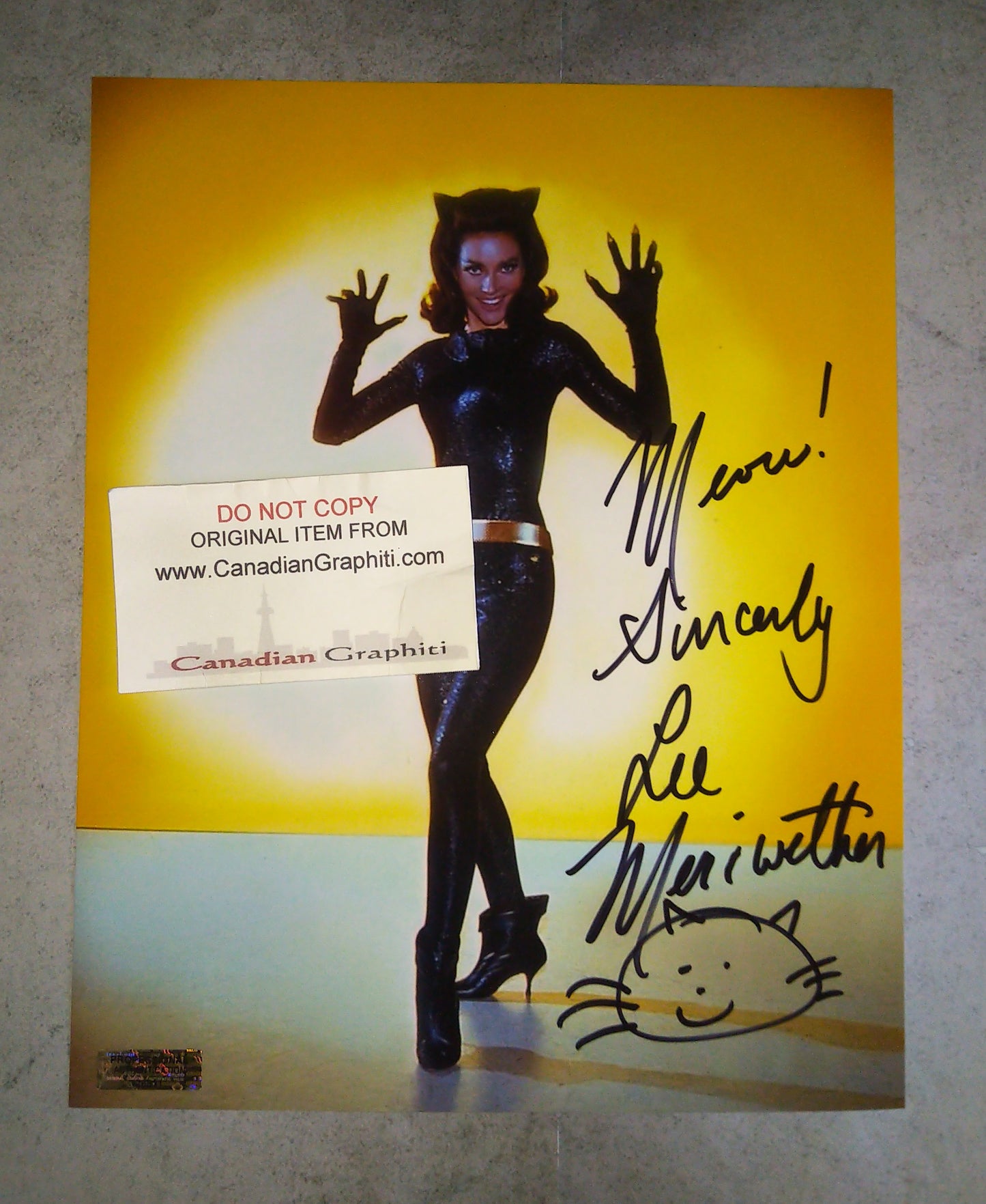 Lee Meriwether Hand Signed Autograph 8x10 Photo COA Catwoman