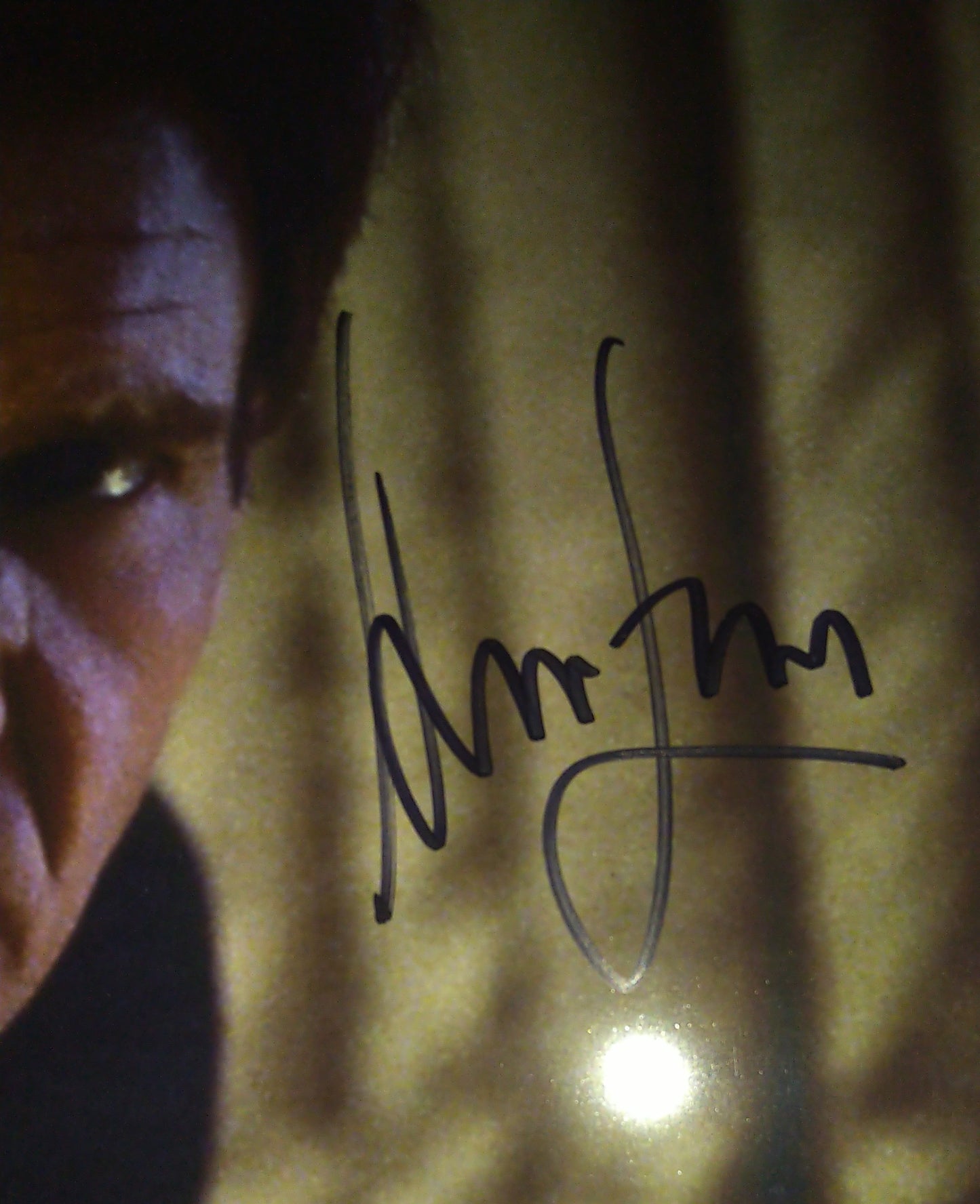 Harrison Ford Hand Signed Autograph 8x10 Photo COA