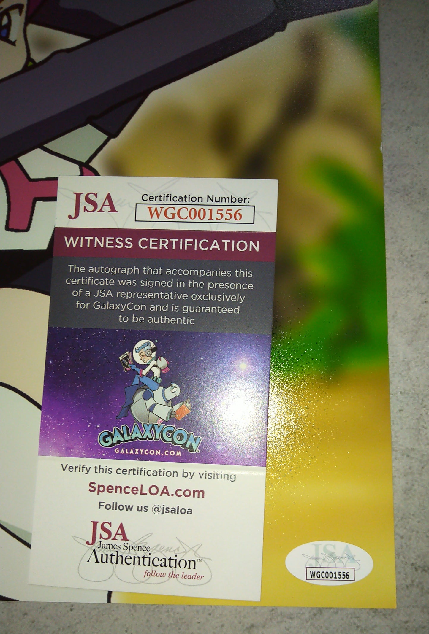 Rachael Lillis & Eric Stuart Hand Signed Autograph 11x17 Photo JSA COA Pokemon