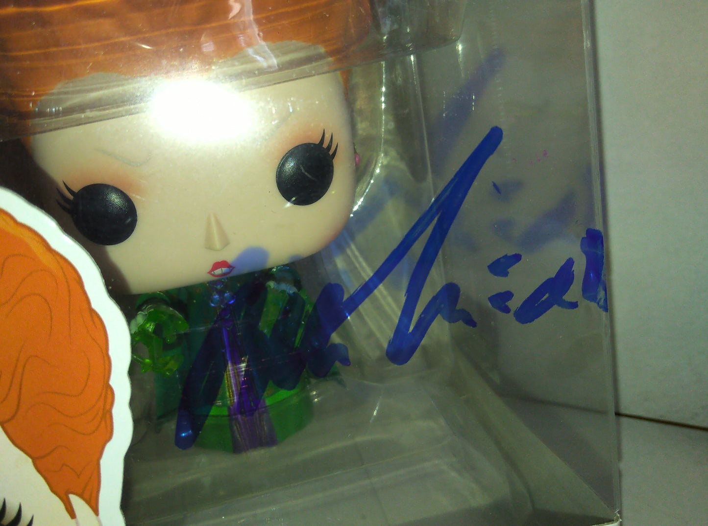 Bette Midler Hand Signed Autograph Hocus Pocus Funko Pop COA