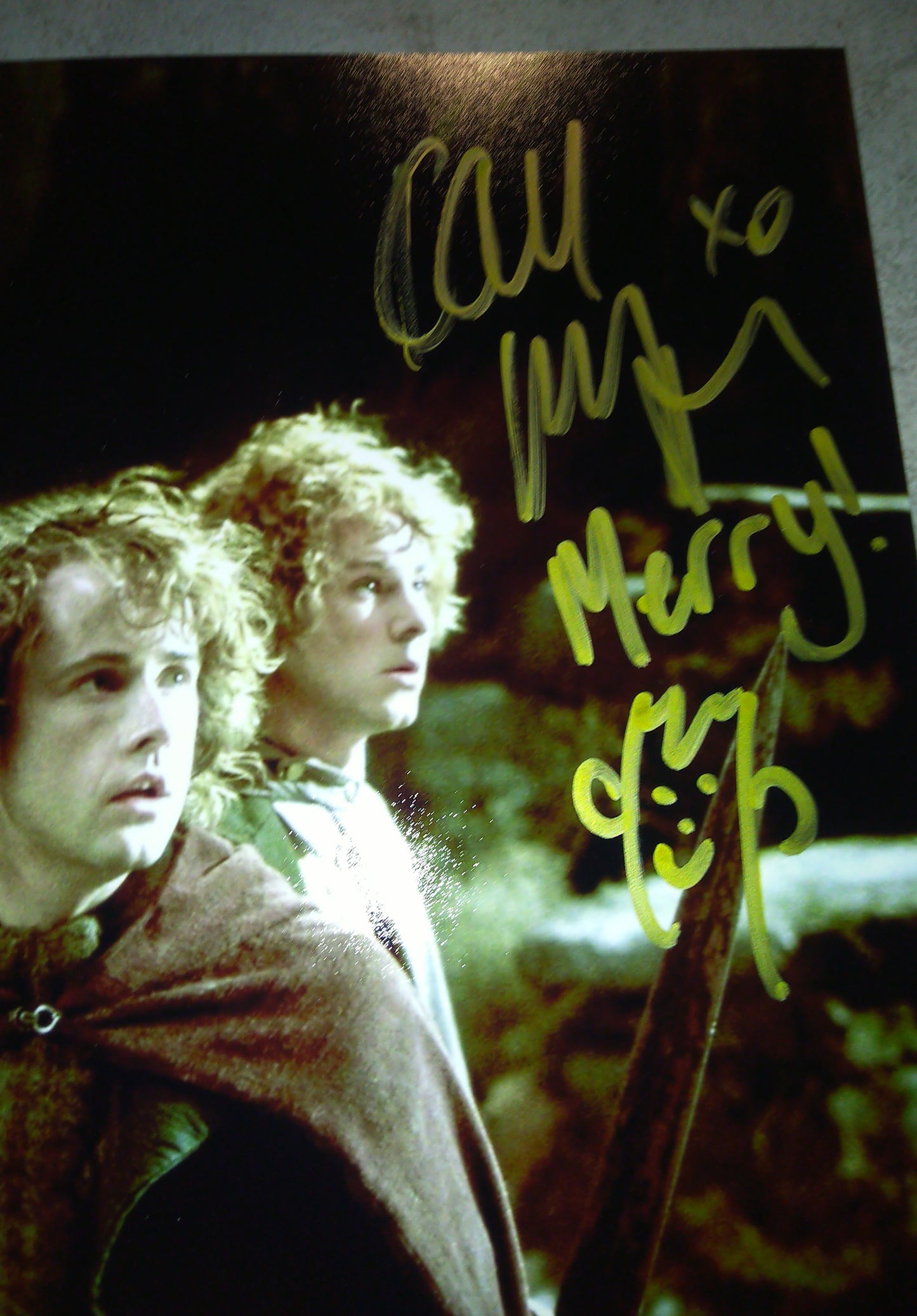 Lord Of The Rings Hobbits Hand Signed Autograph 11x14 Photo COA Sean Astin, Elijah Wood, Dominic Monaghan & Billy Boyd