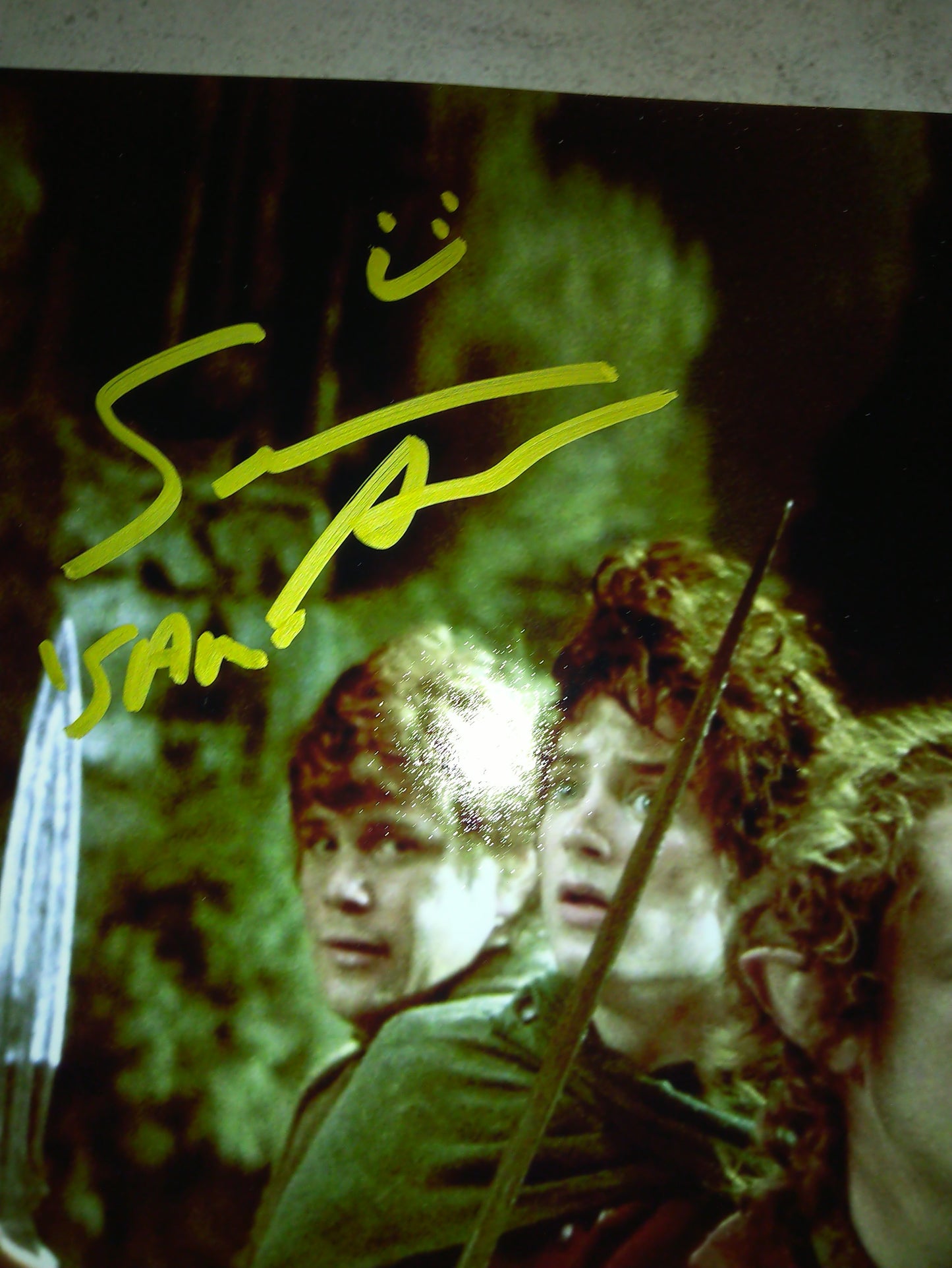 Lord Of The Rings Hobbits Hand Signed Autograph 11x14 Photo COA Sean Astin, Elijah Wood, Dominic Monaghan & Billy Boyd