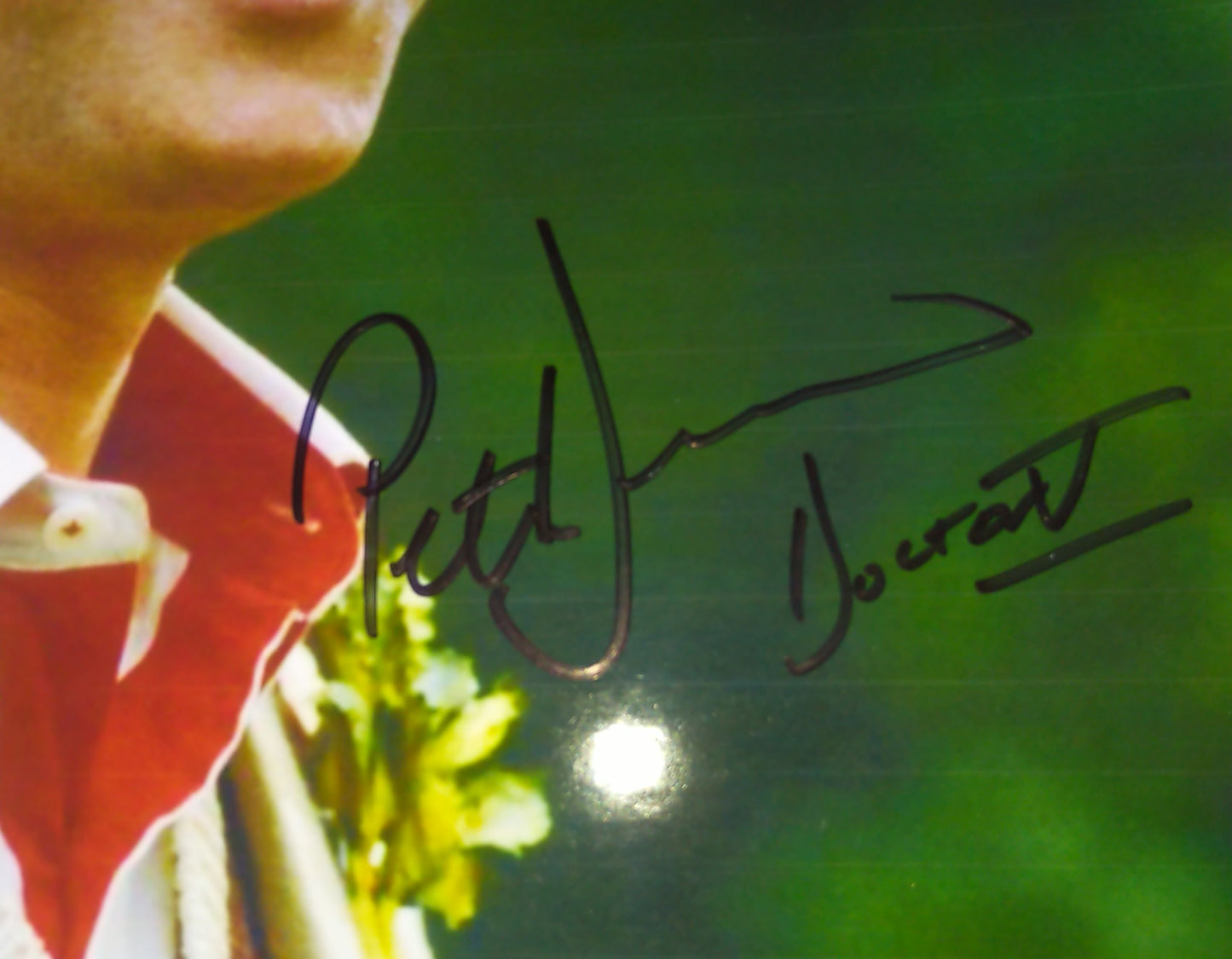 Peter Davison Hand Signed Autograph 8x10 Photo COA Doctor Who