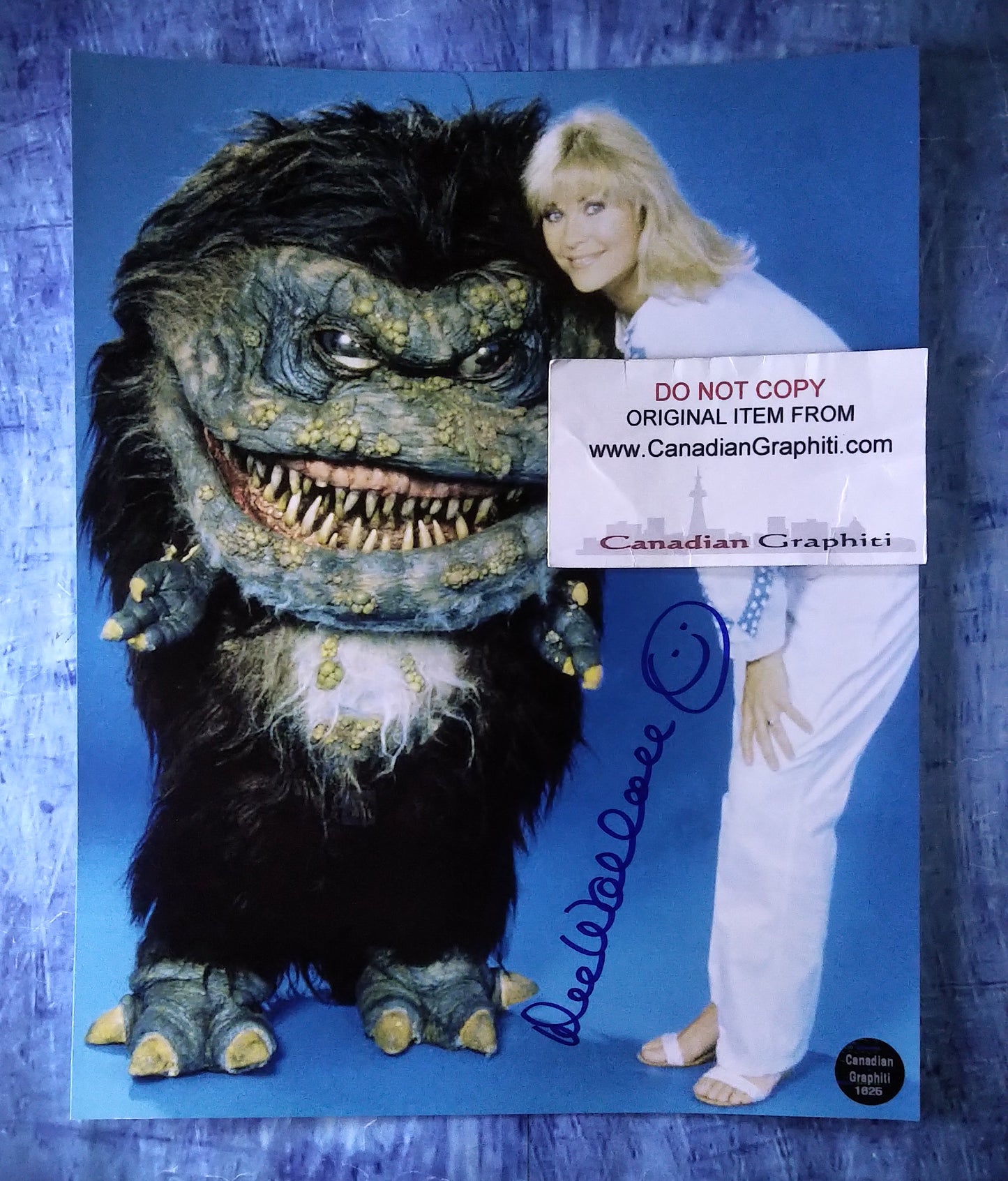 Dee Wallace Hand Signed Autograph 8x10 Photo COA Critters