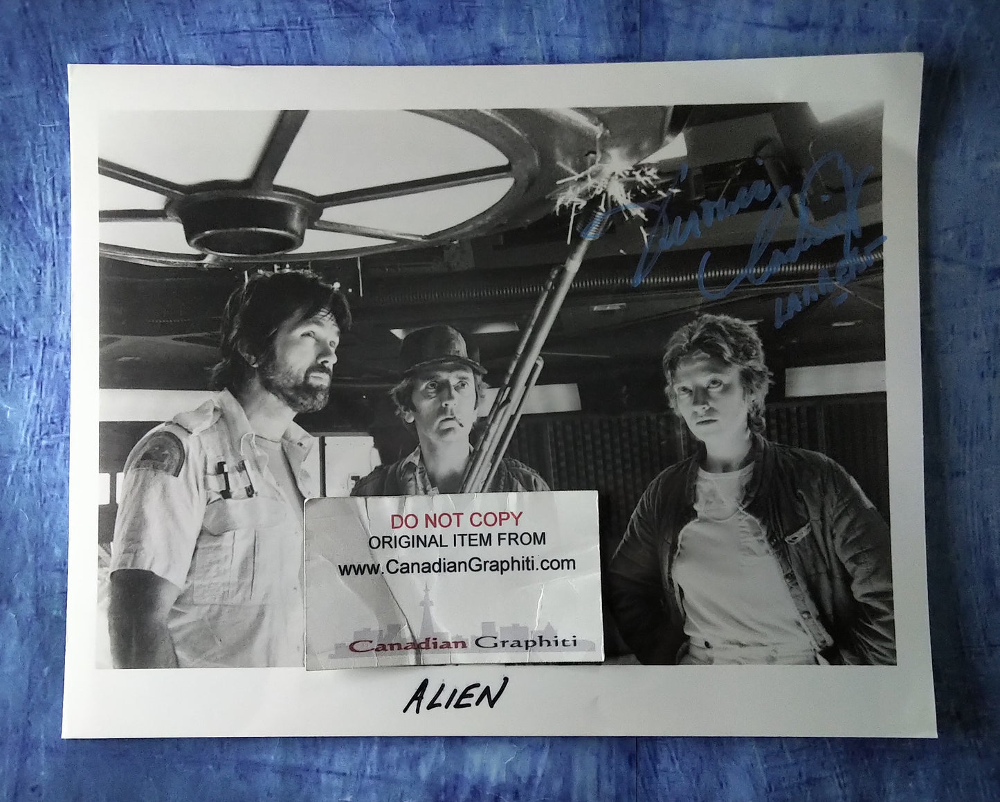 Veronica Cartwright Hand Signed Autograph 8x10 Photo COA Alien