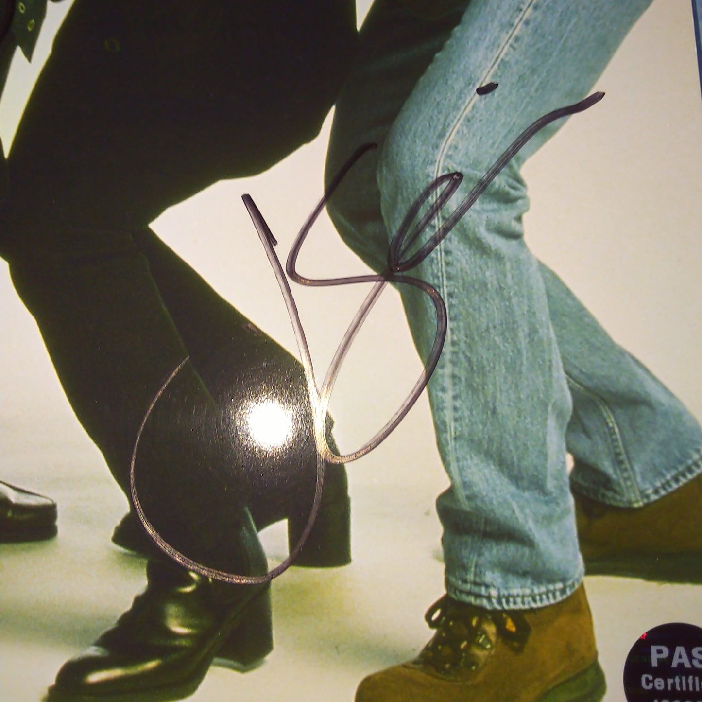 Seinfeld Cast Hand Signed Autograph 8x10 Photo COA