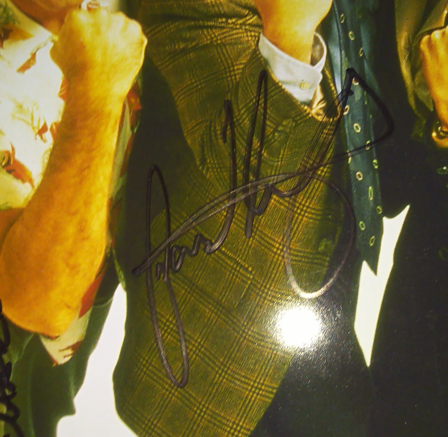 Seinfeld Cast Hand Signed Autograph 8x10 Photo COA